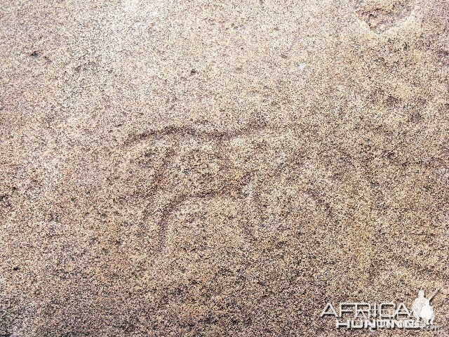 Rock carvings at Ozondjahe Hunting Safaris, Namibia