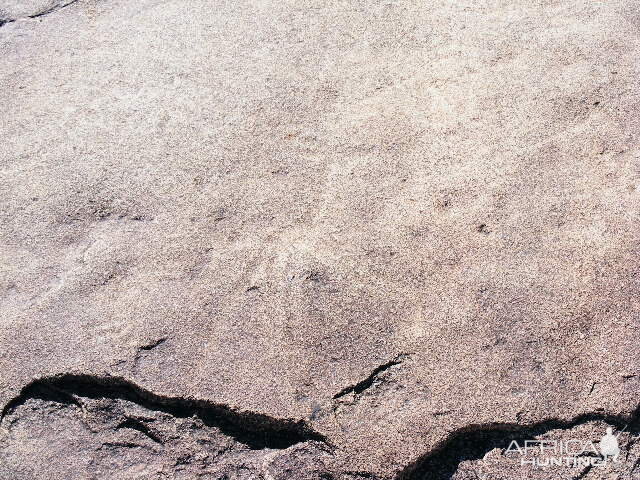 Rock carvings at Ozondjahe Hunting Safaris, Namibia