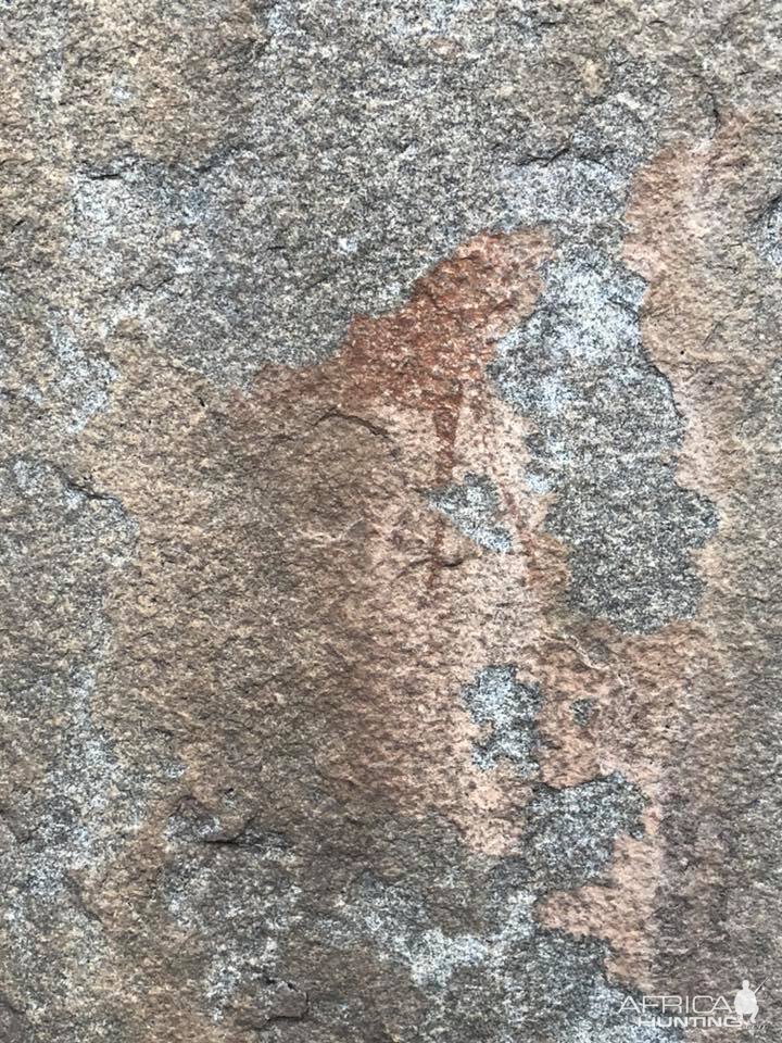 Rock Paintings