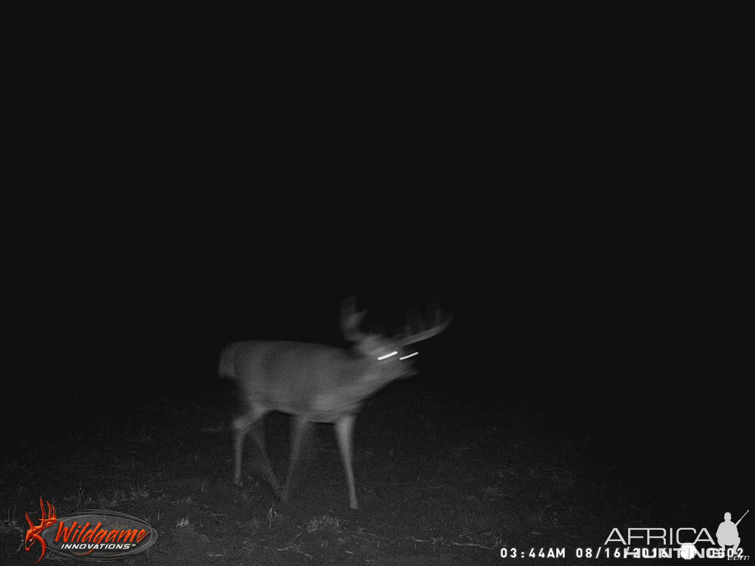 Rockin G Bad pic but good buck