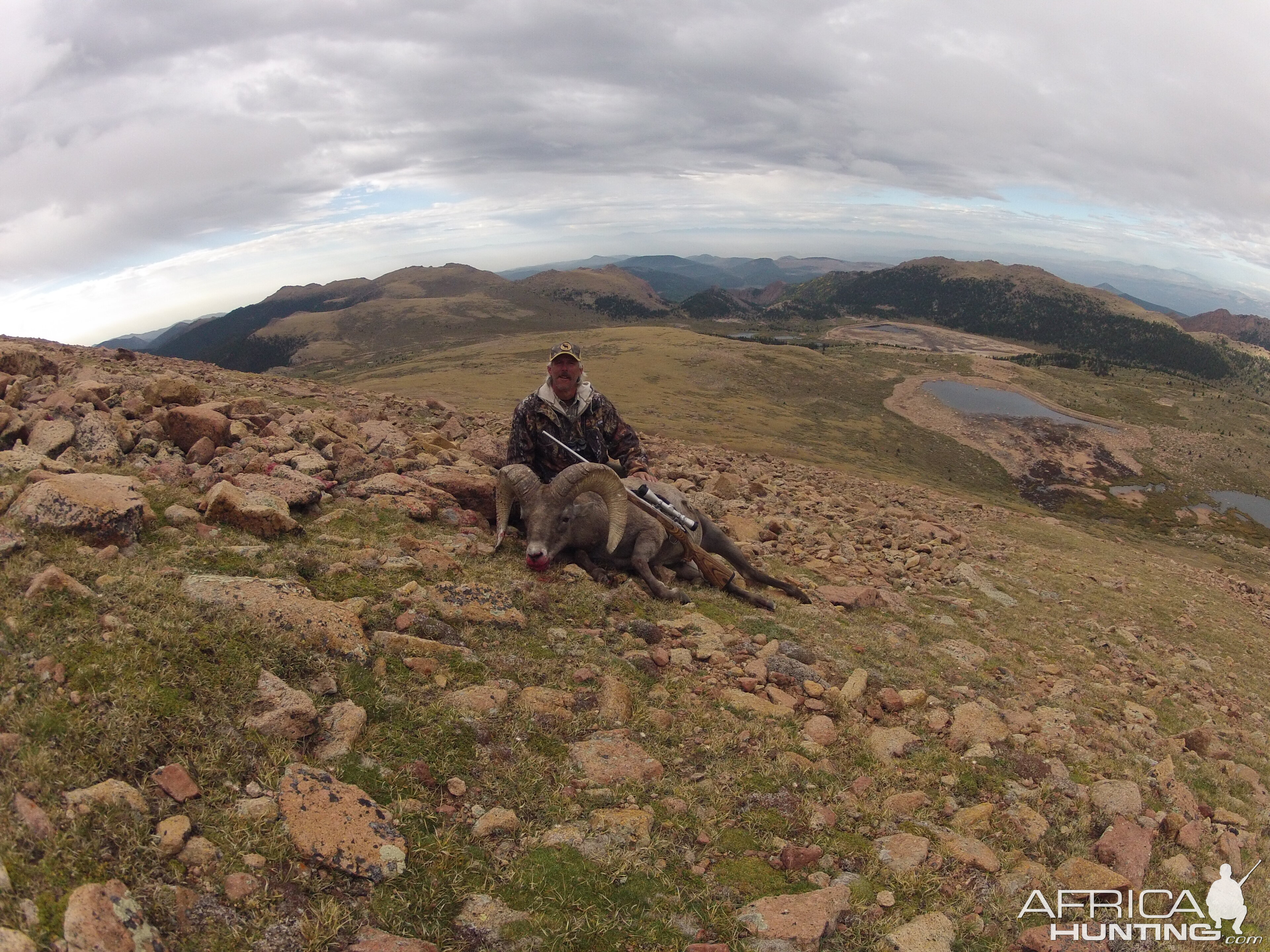 Rocky Mountain Bighorn Sheep Hunt