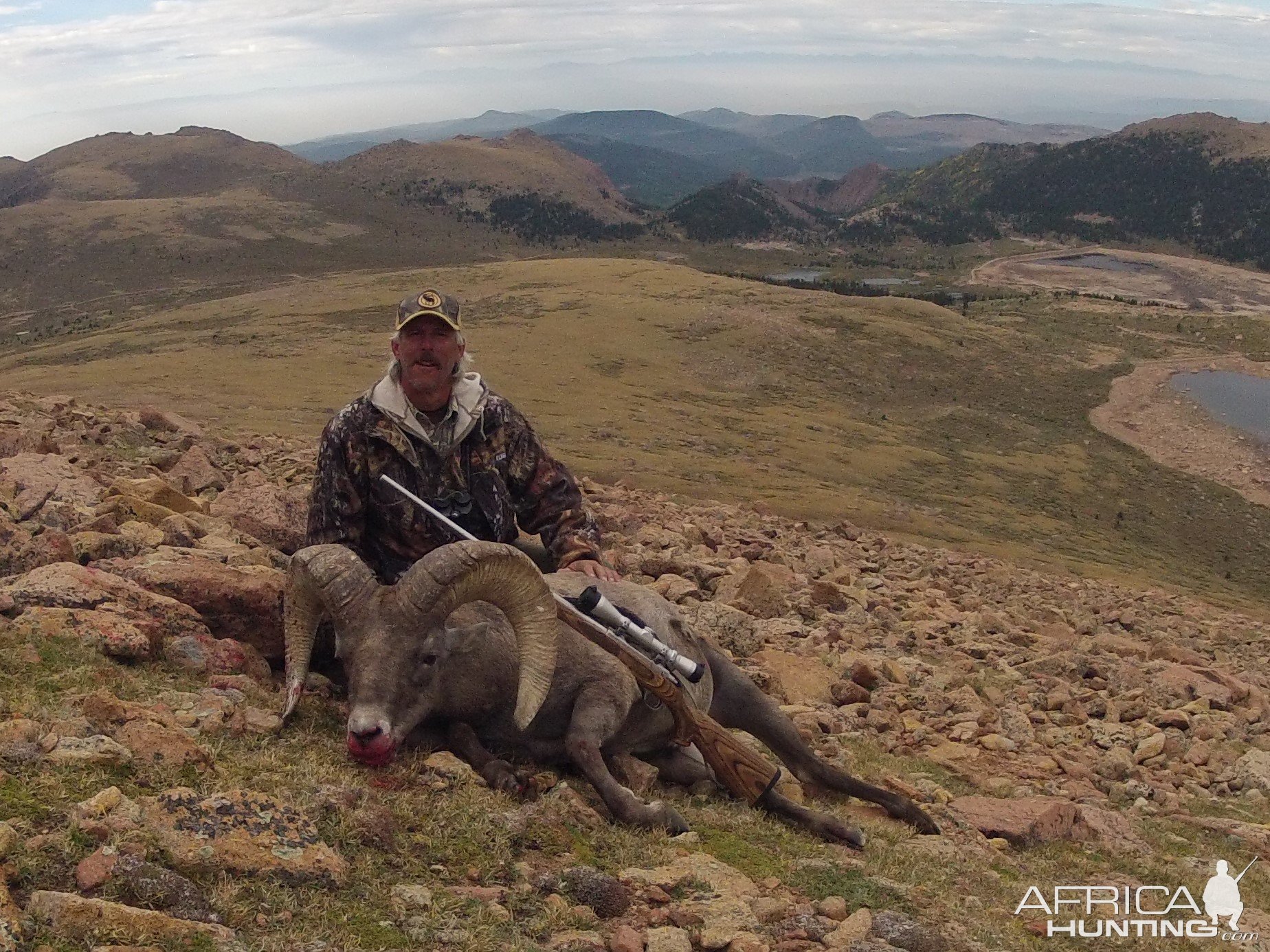 Rocky Mountain Bighorn Sheep Hunt