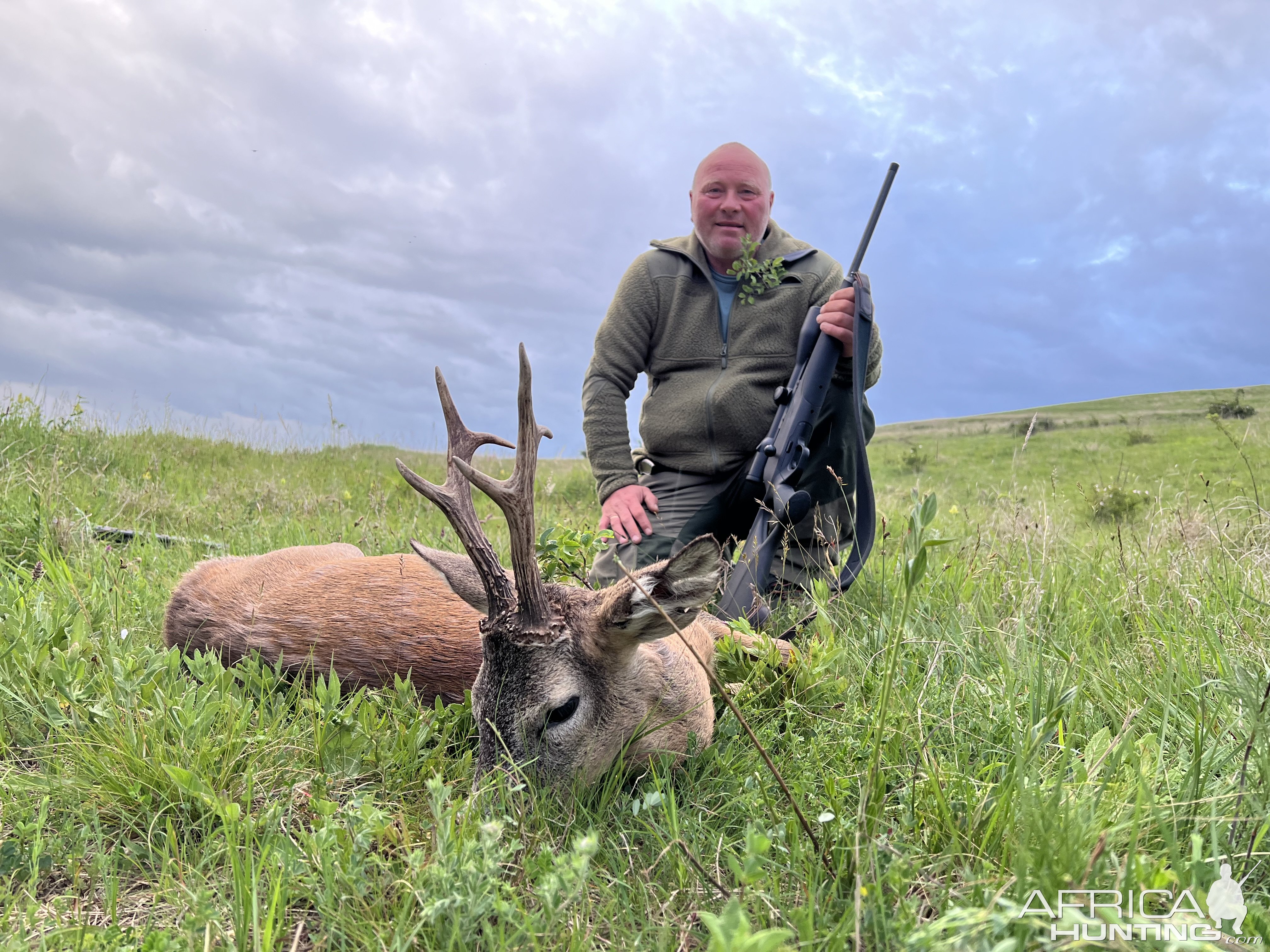 Roe buck hunt in Romania