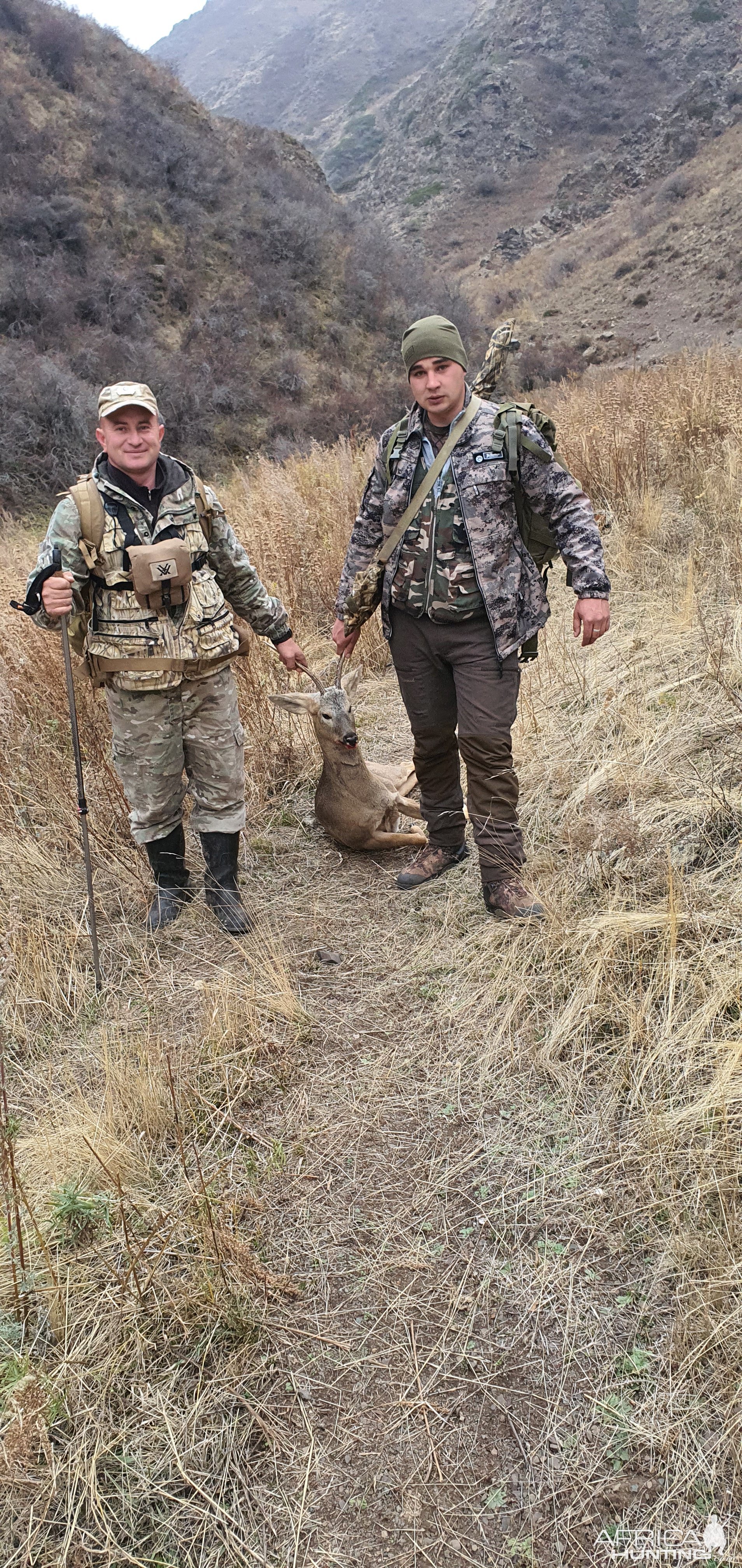 Roe Deer Hunt Kazakhstan