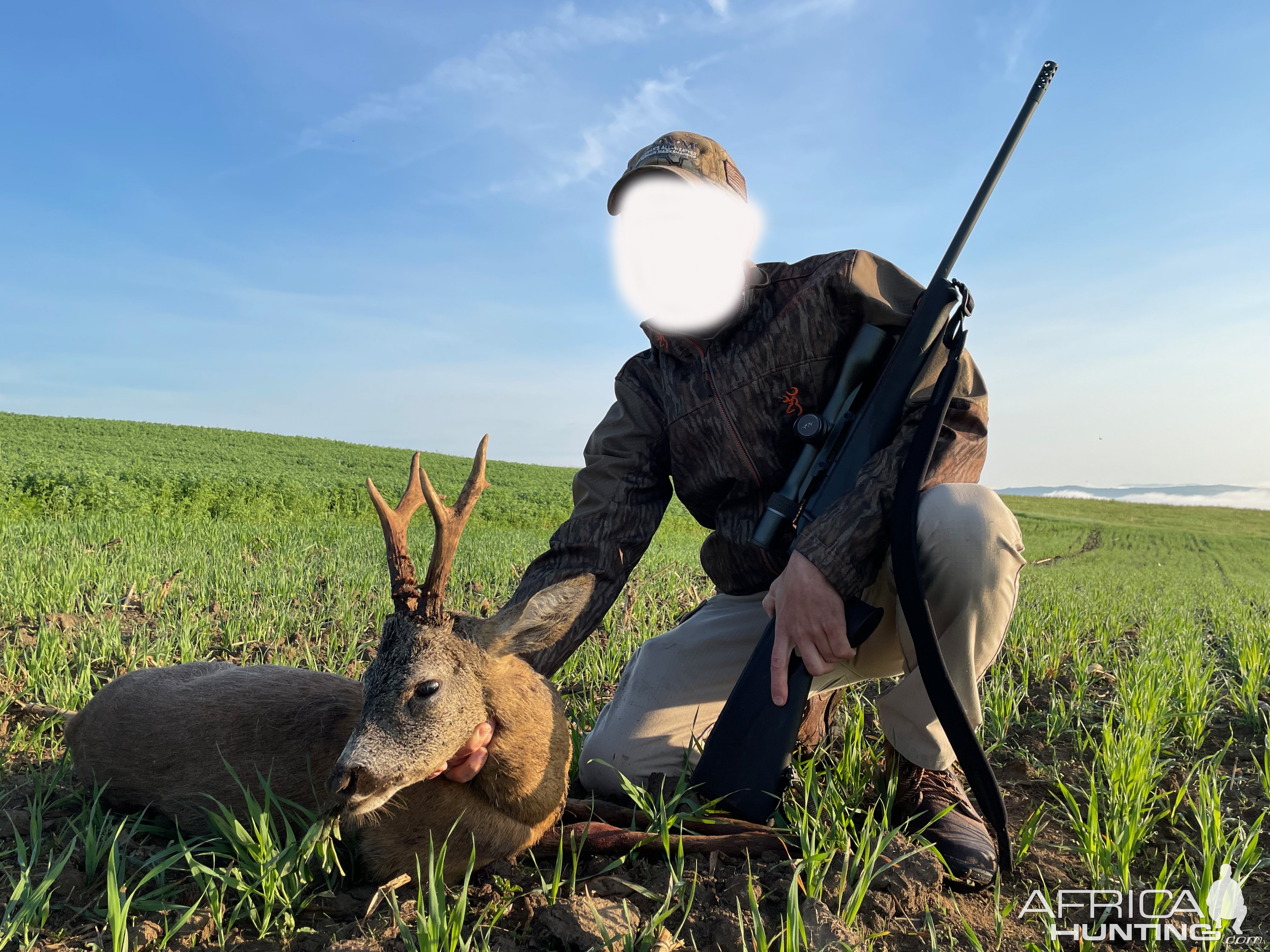 Roe Deer Hunt Romania