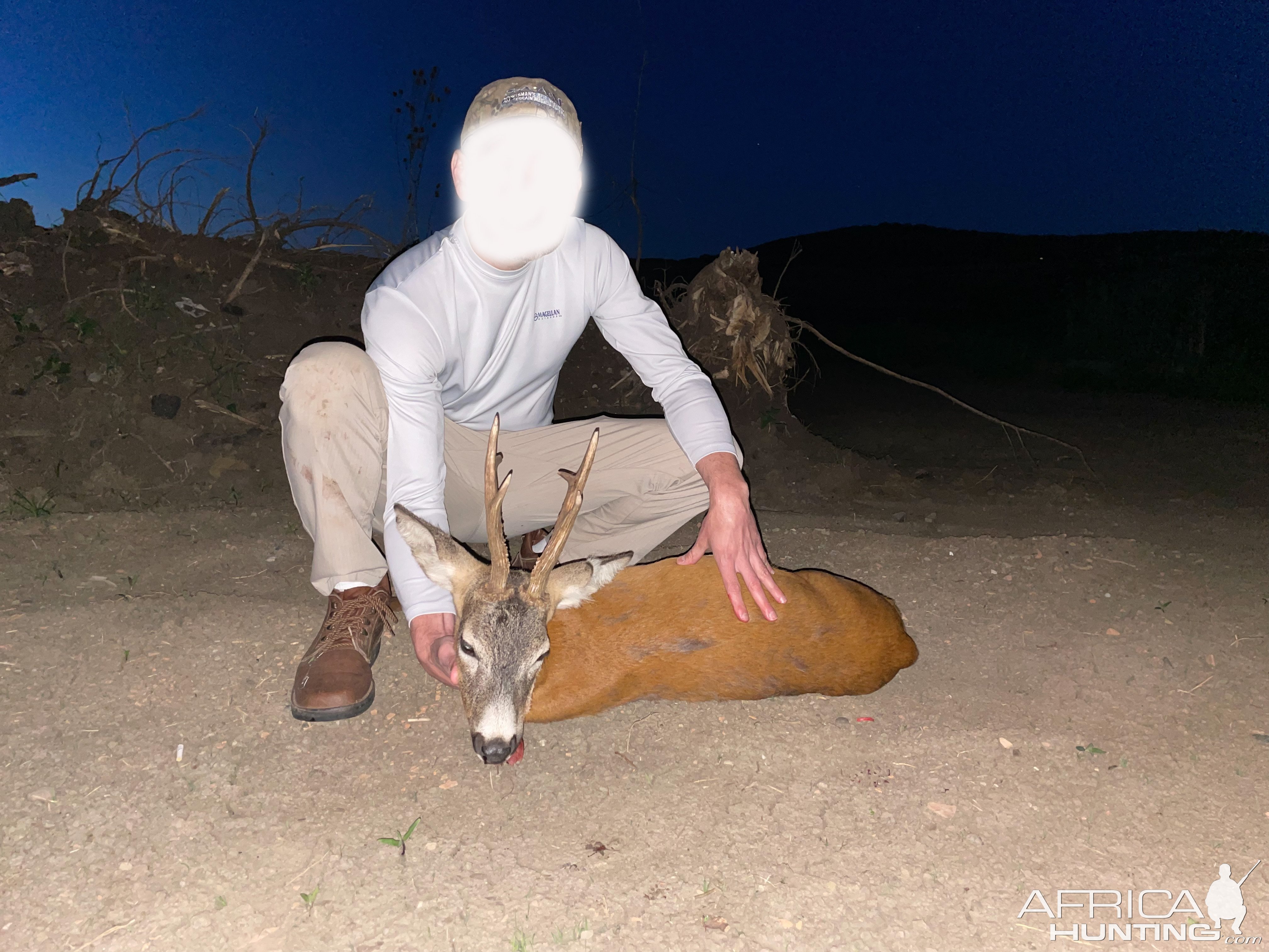 Roe Deer Hunt Romania