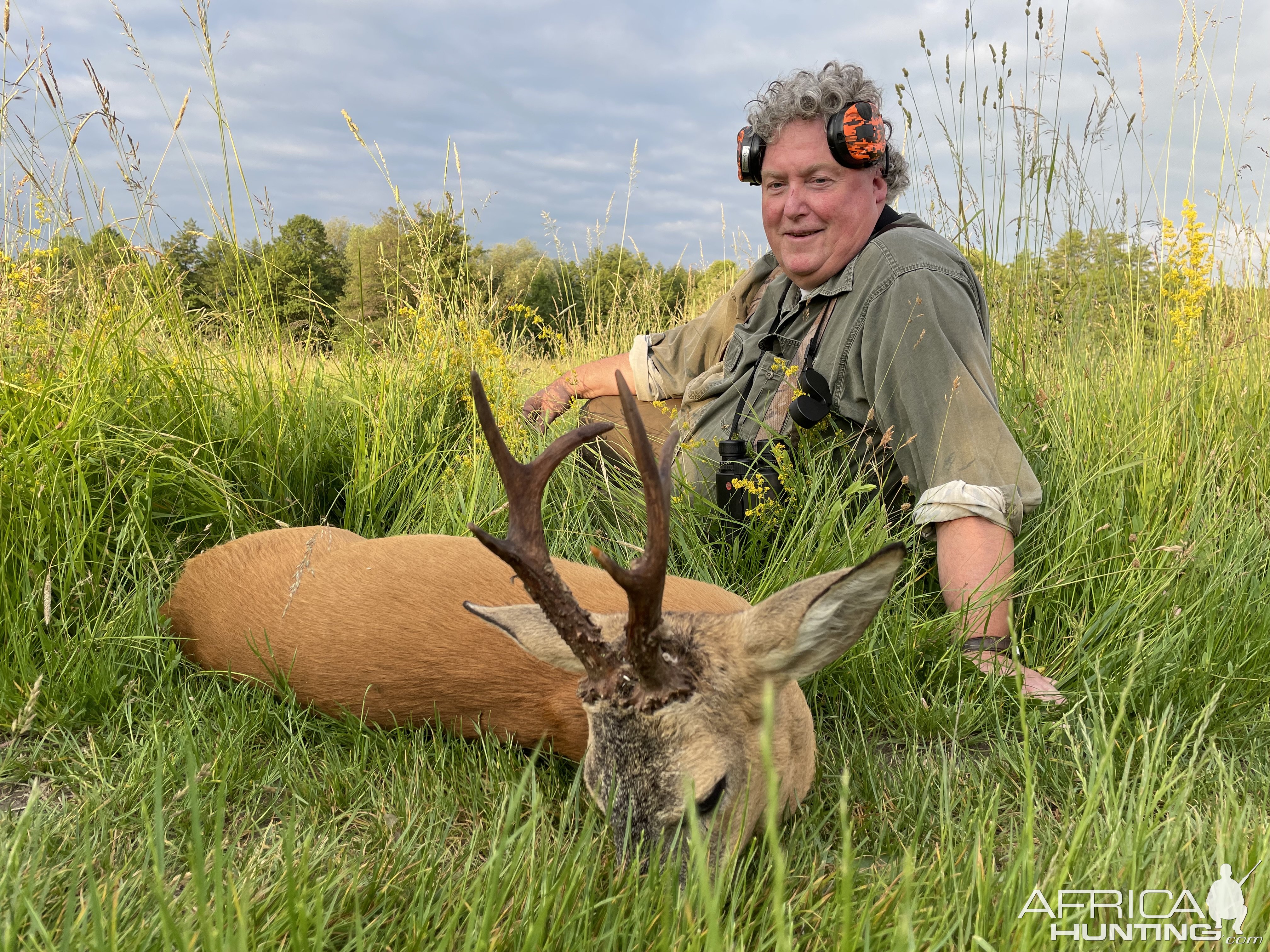 Roe Deer Hunt Romania