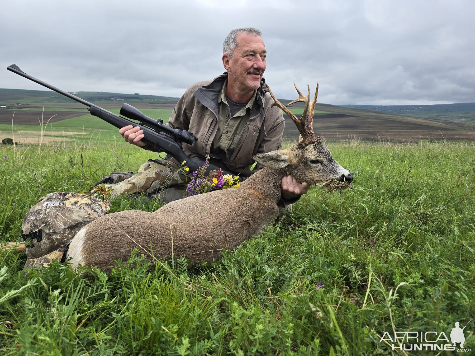 Roe Deer Hunt Romania