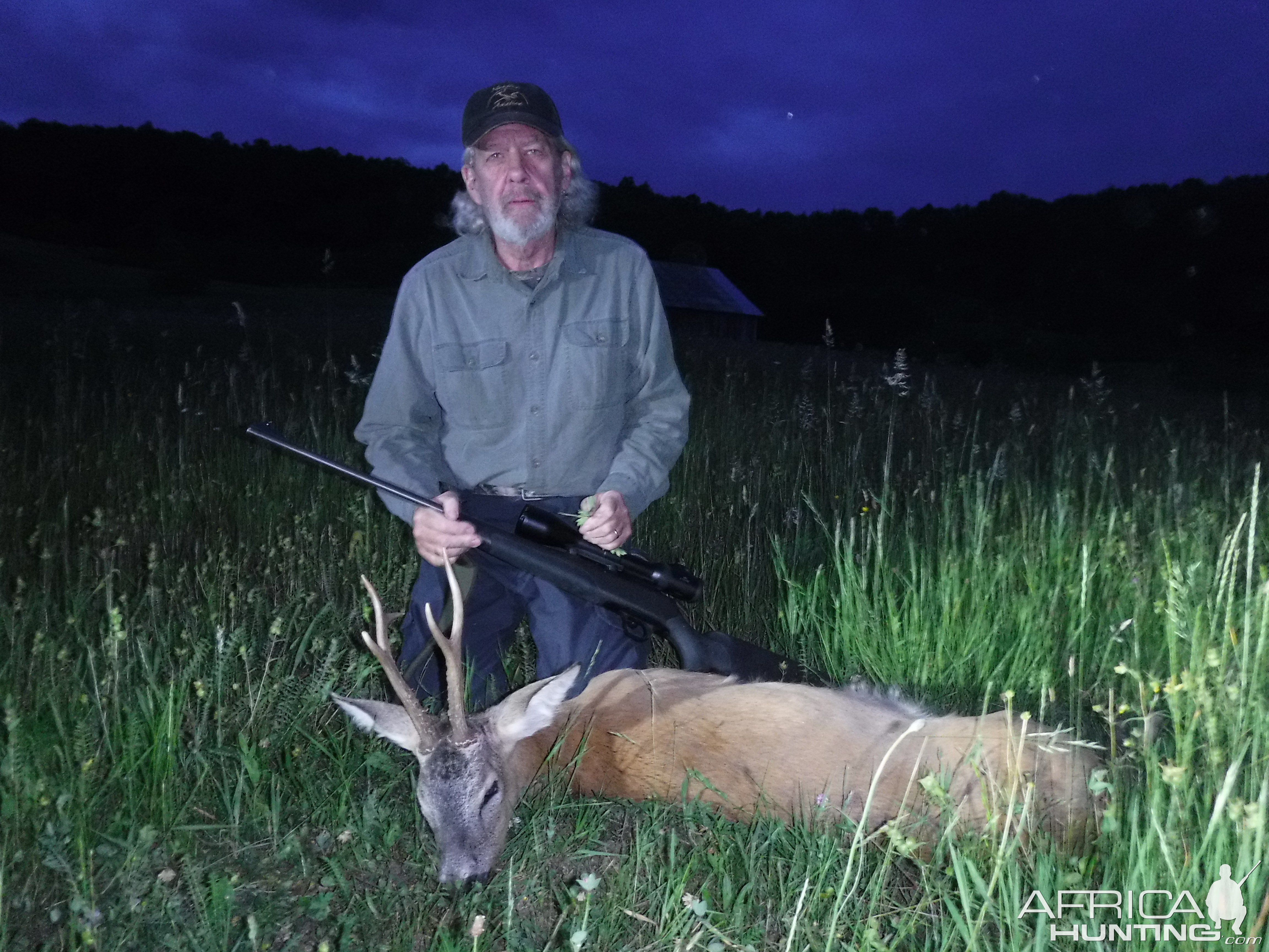 Roe Deer Hunt Romania