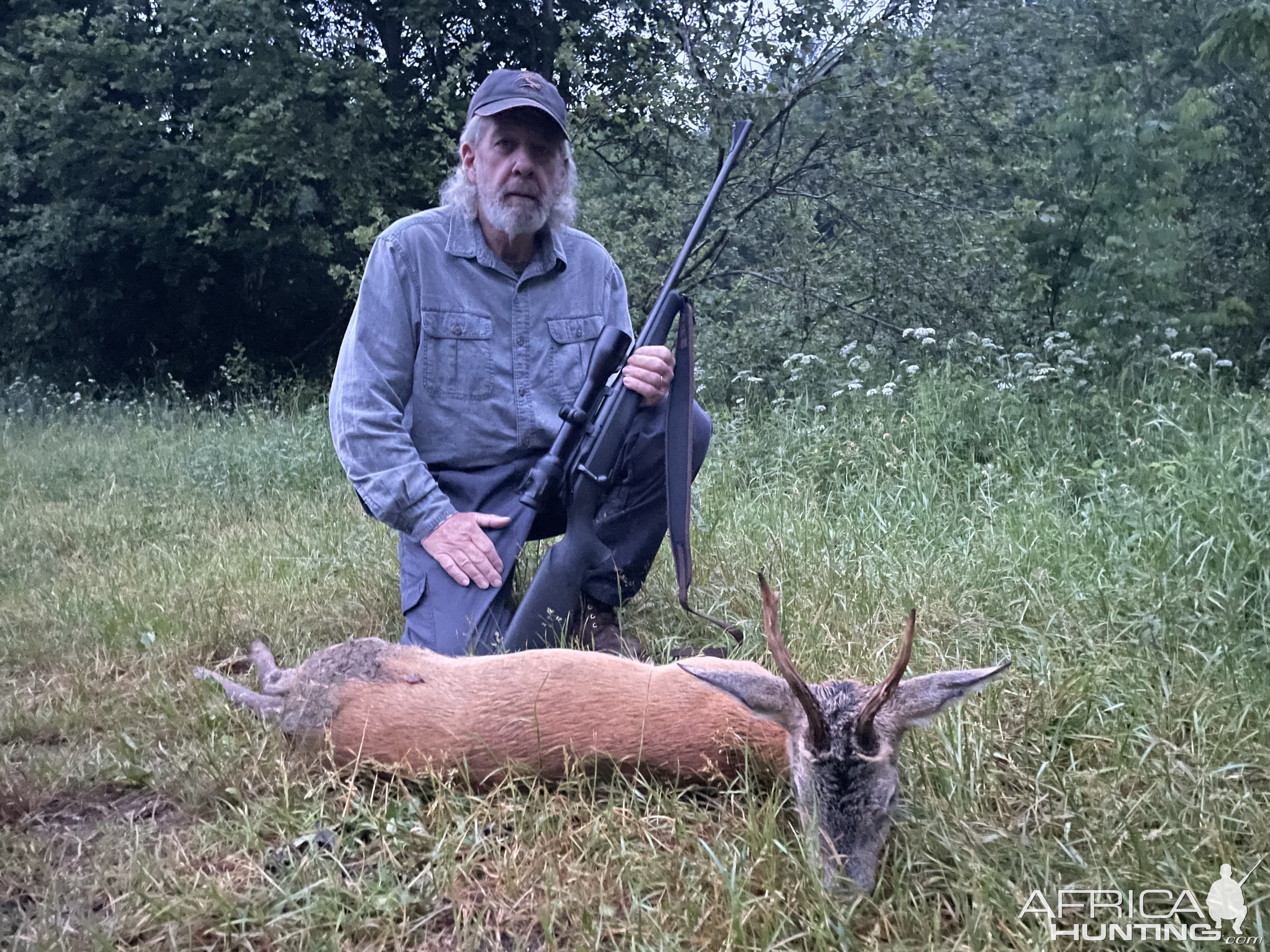 Roe Deer Hunt Romania