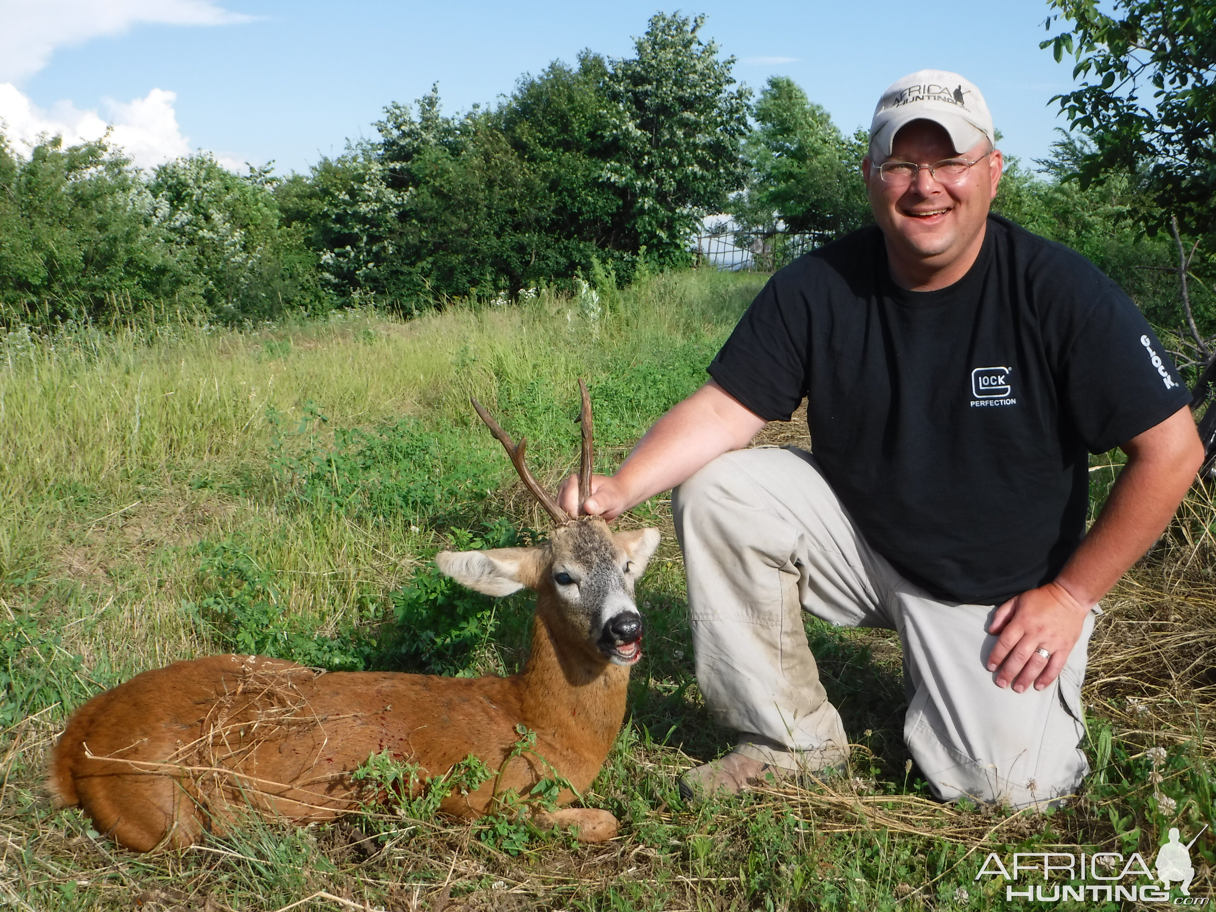 Roe Deer Hunt Romania