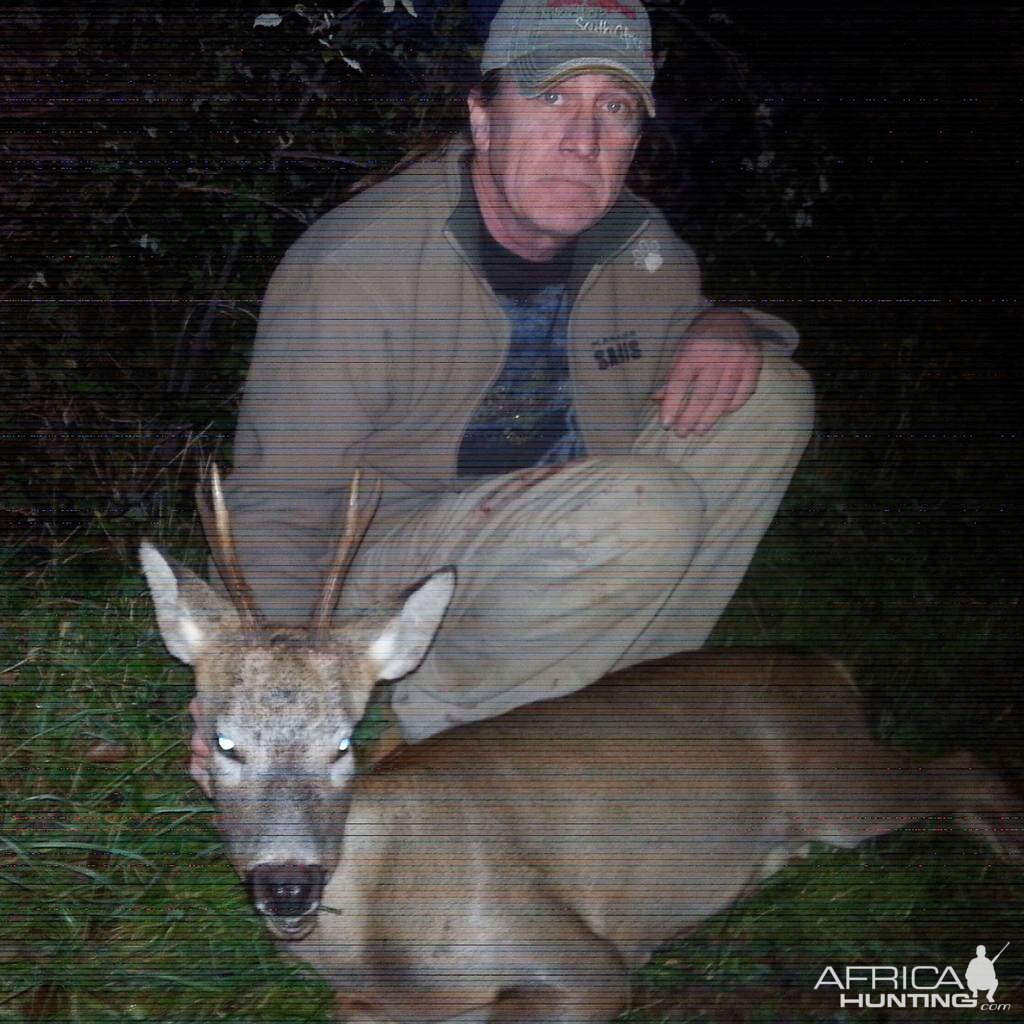 Roe deer Hunting in England