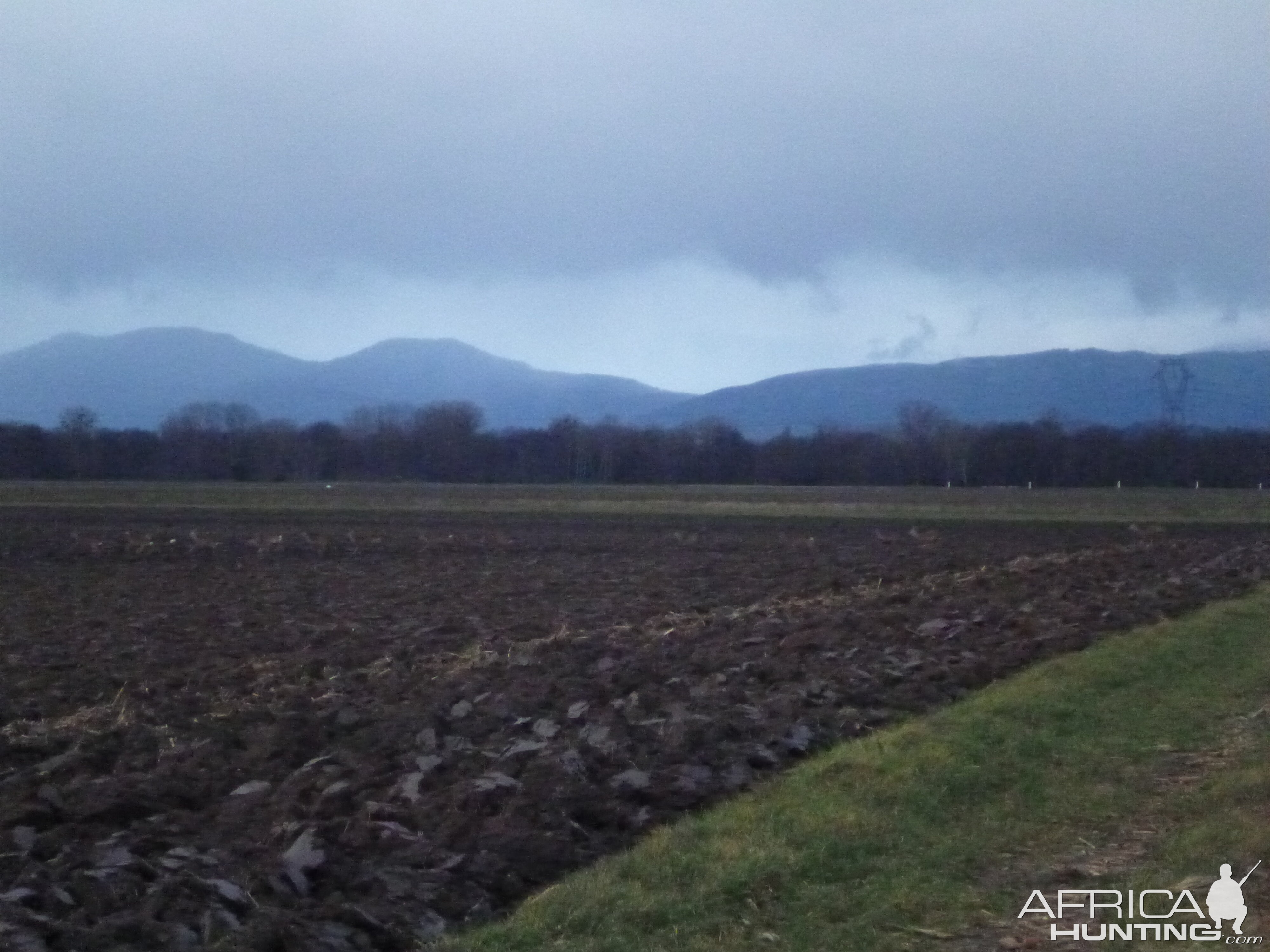 Roe Deer Hunting in France