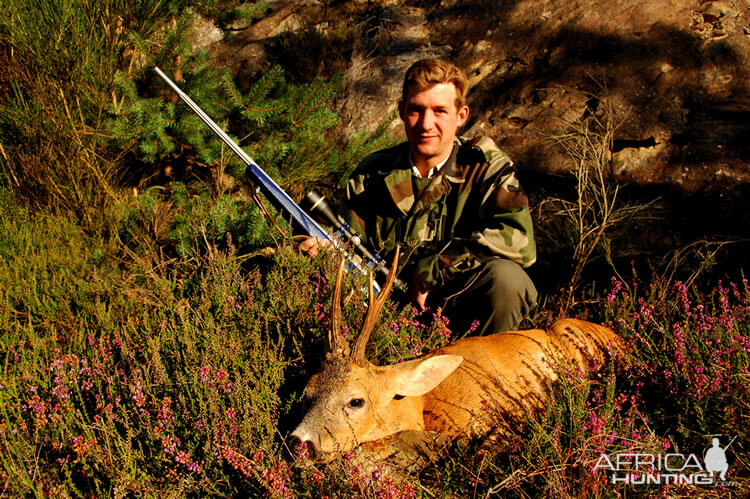 Roe Deer Hunting in France