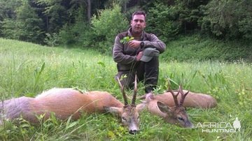 Roe Deer Hunting Romania