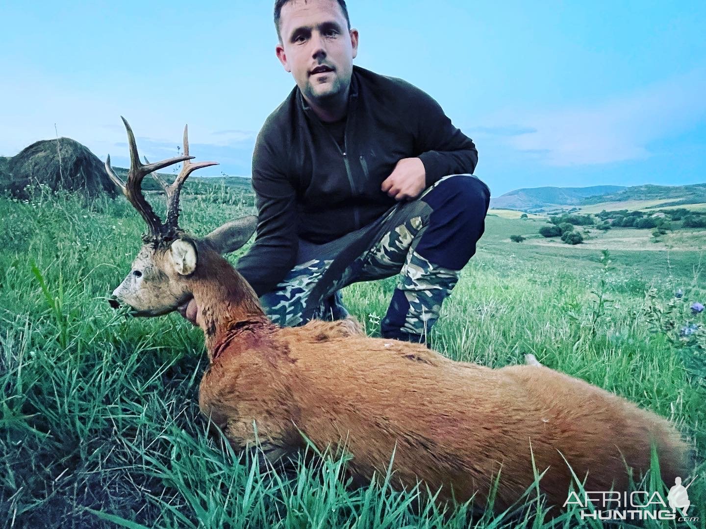 Roe Deer Hunting Romania