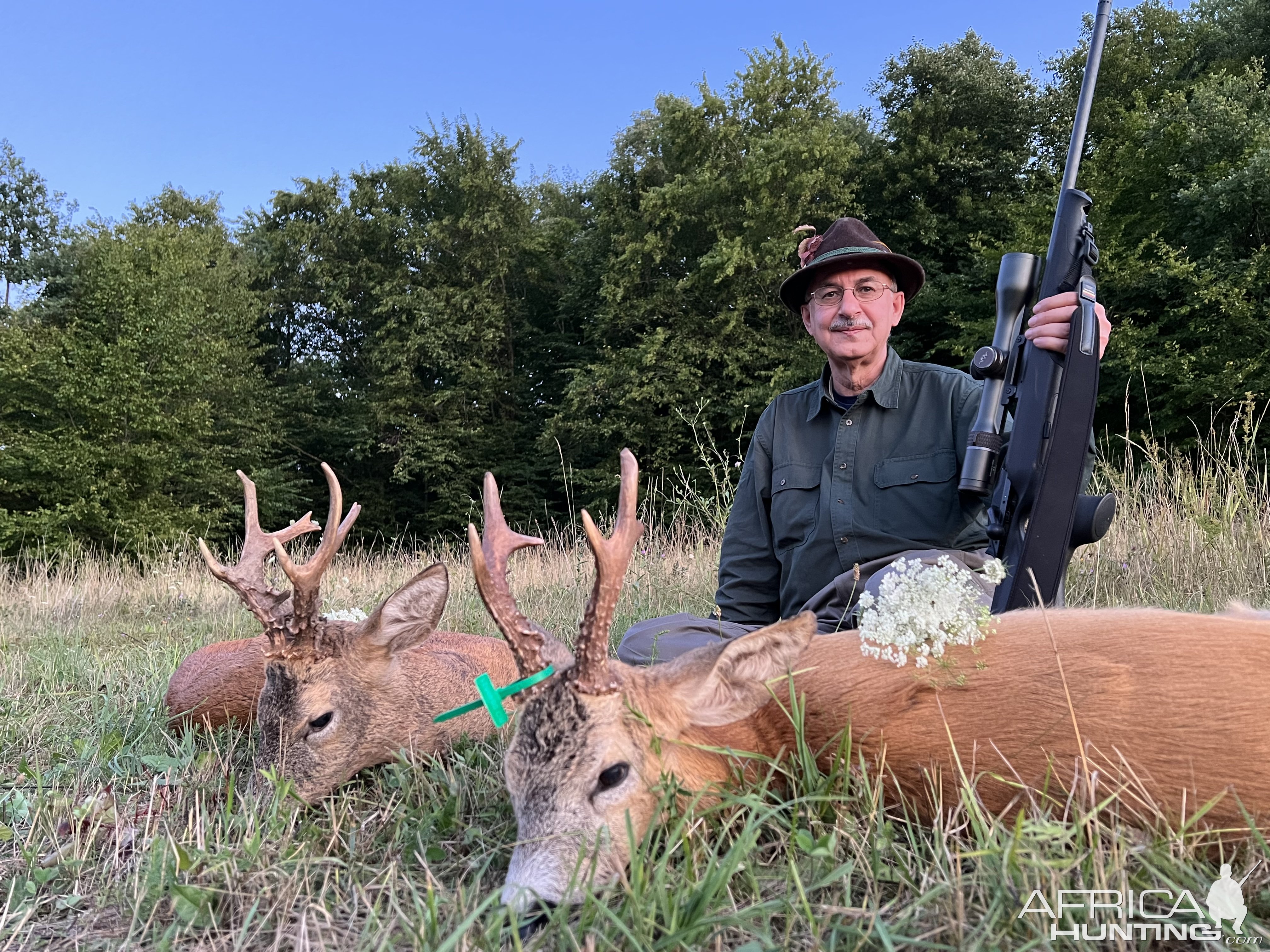 Roe Deer Hunting Romania