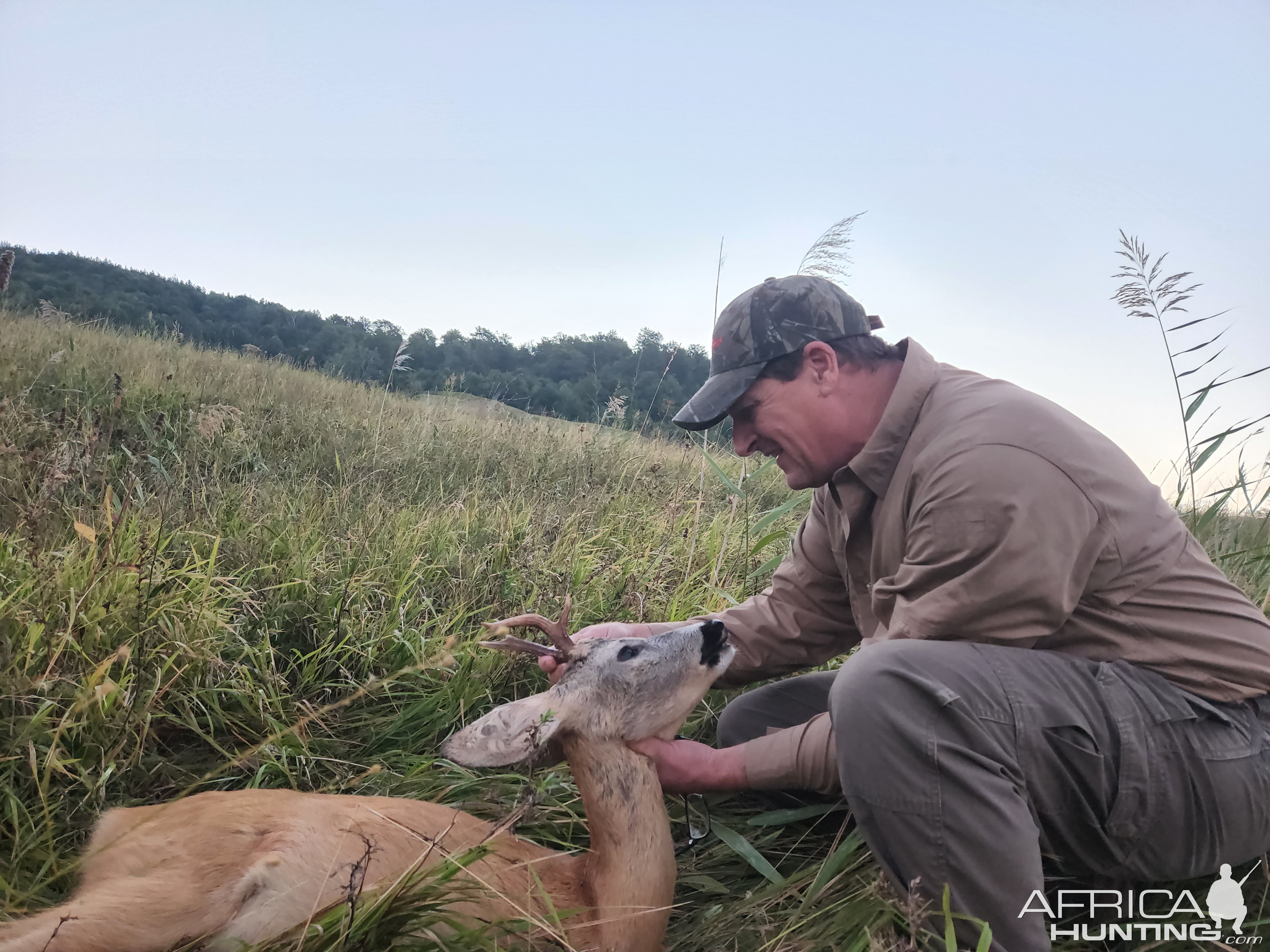 Roe Deer Hunting Romania