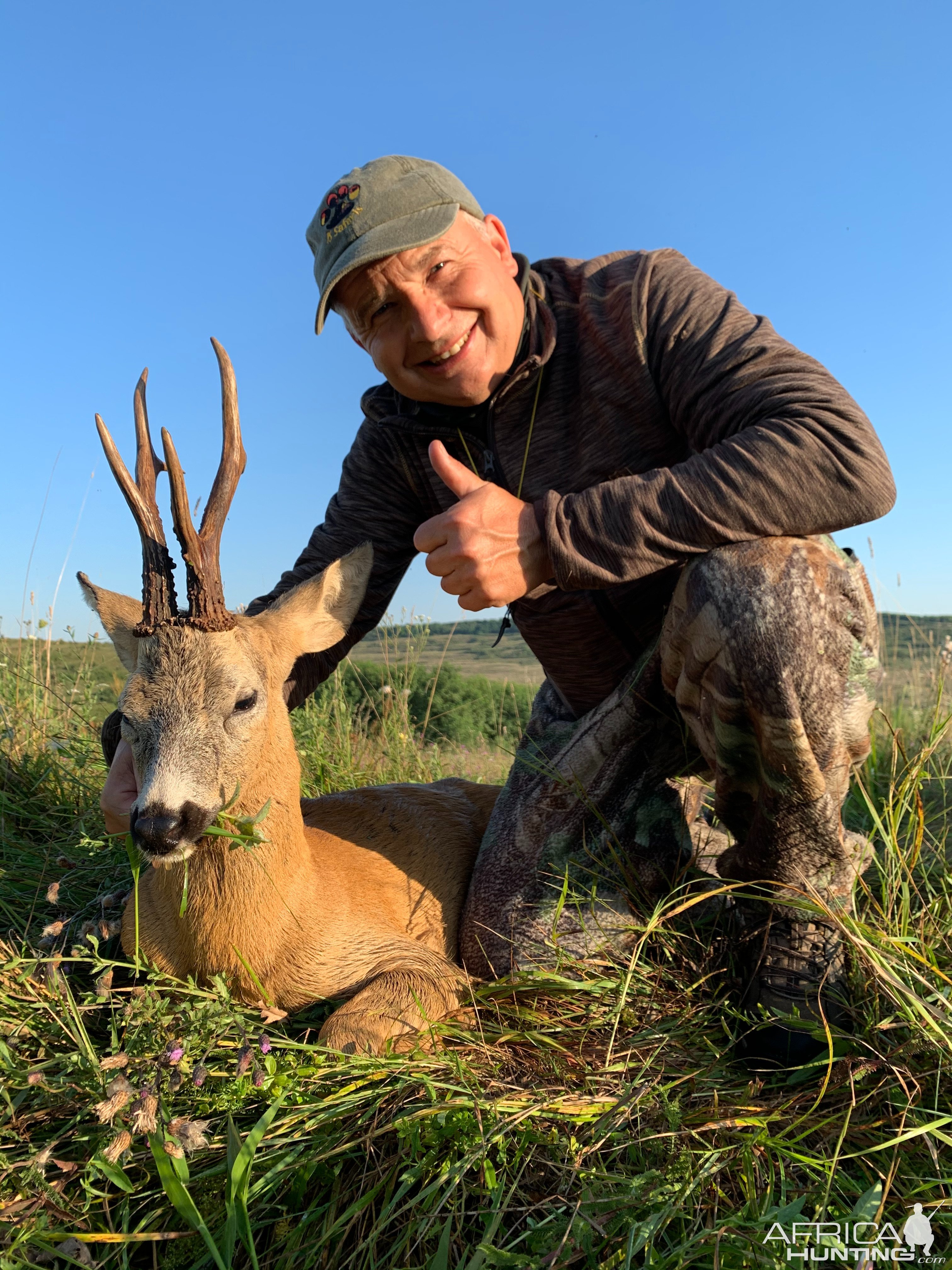 Roe Deer Hunting Romania