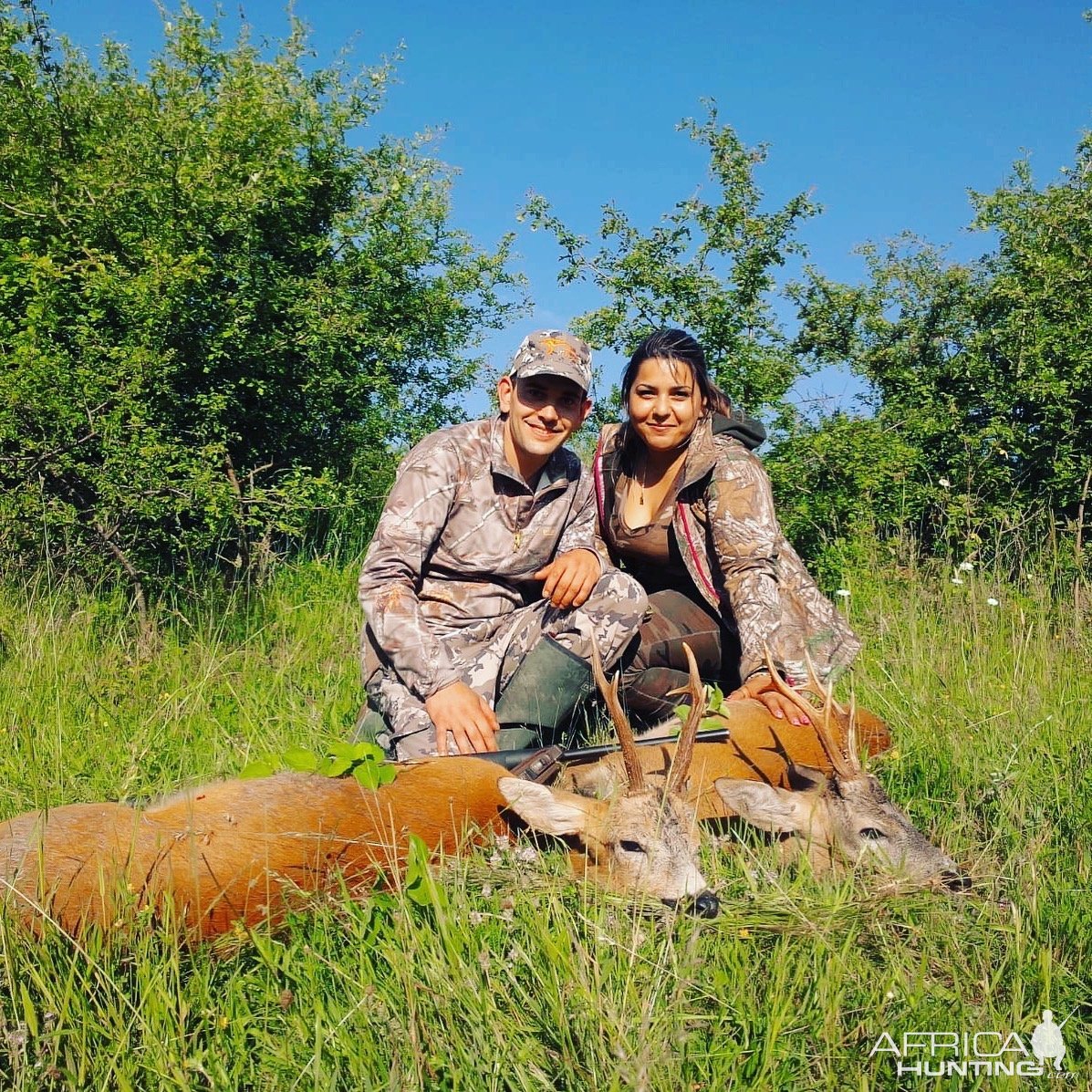 Roe Deer Hunting Romania