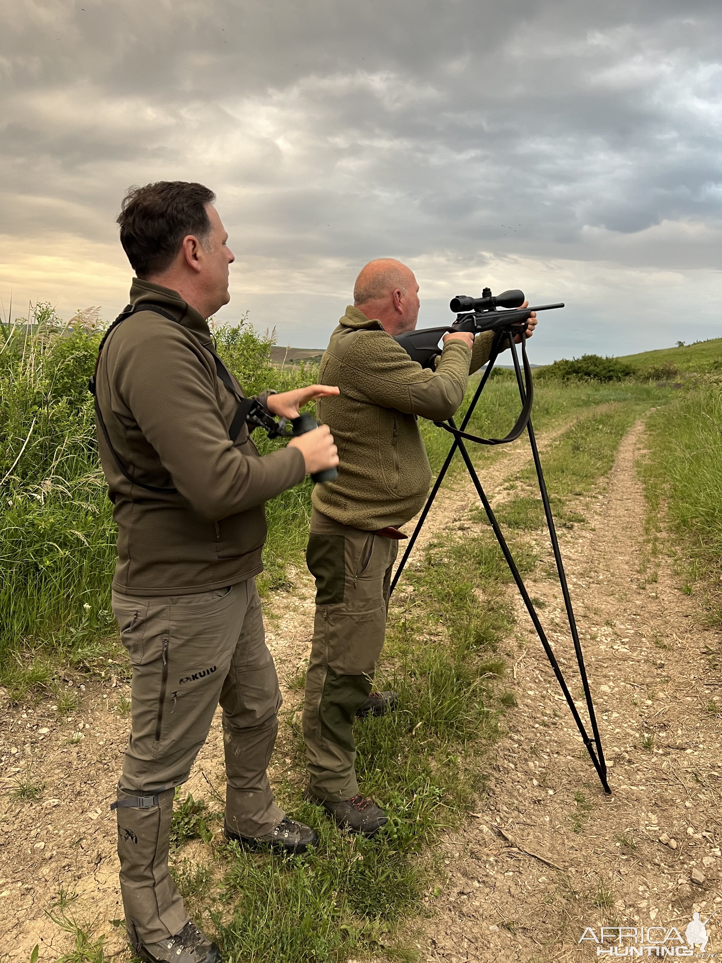 Roebuck hunting in Romania