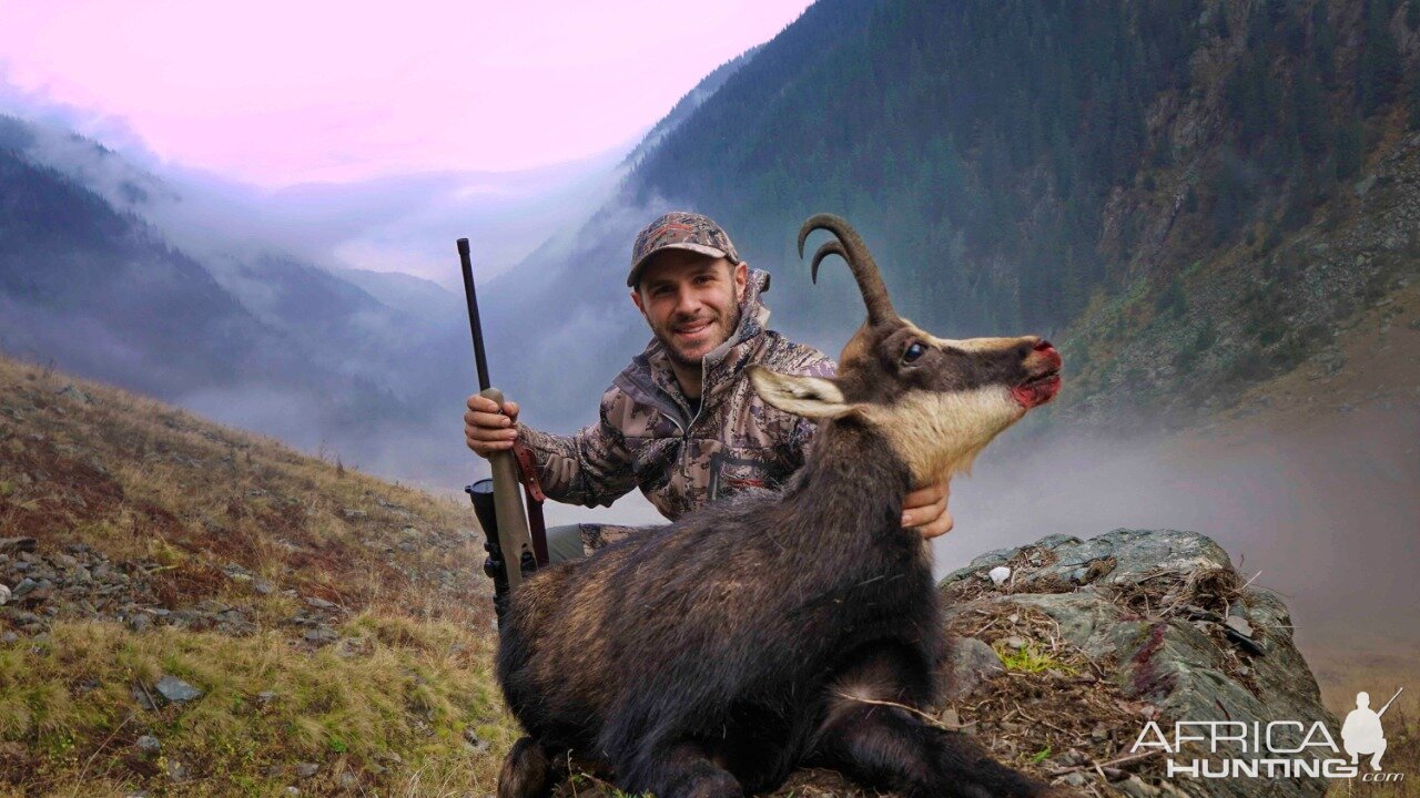 Romania Hunt Carpathian Chamois