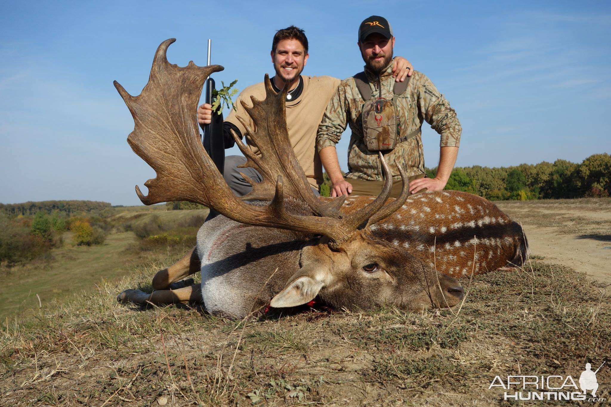 Romania Hunting Fallow Deer