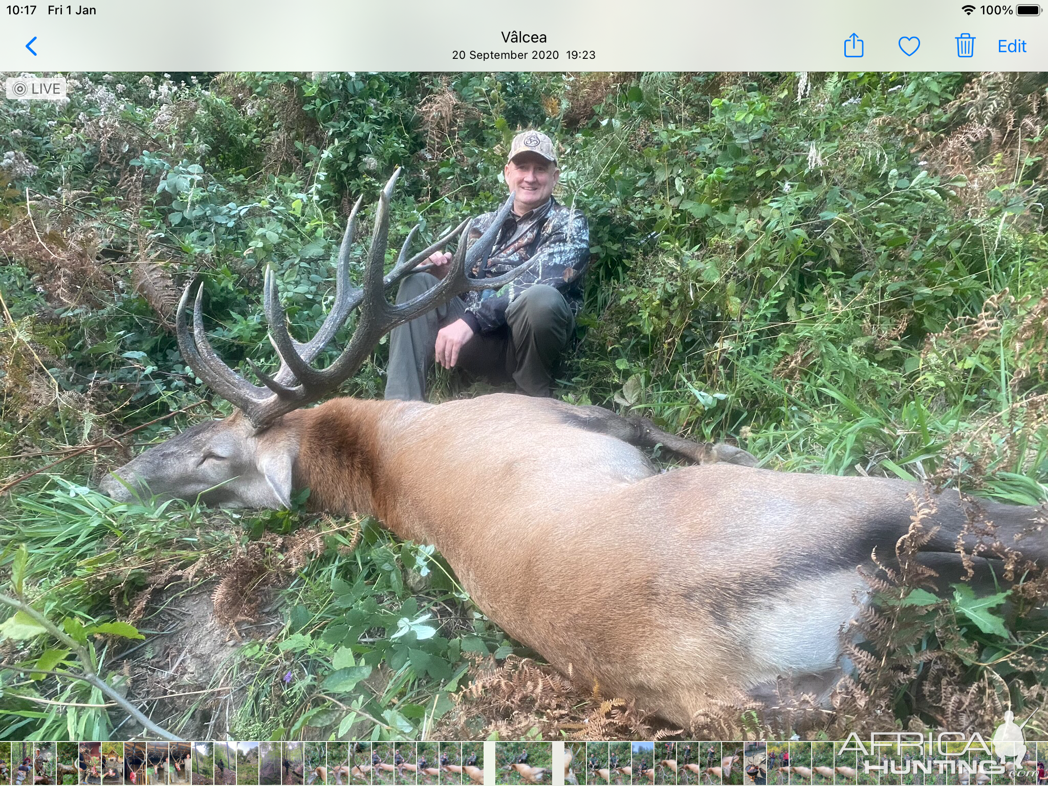 Romania Hunting Red Stag