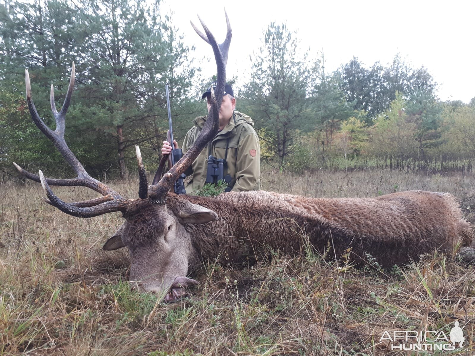 Romania Hunting Red Stag