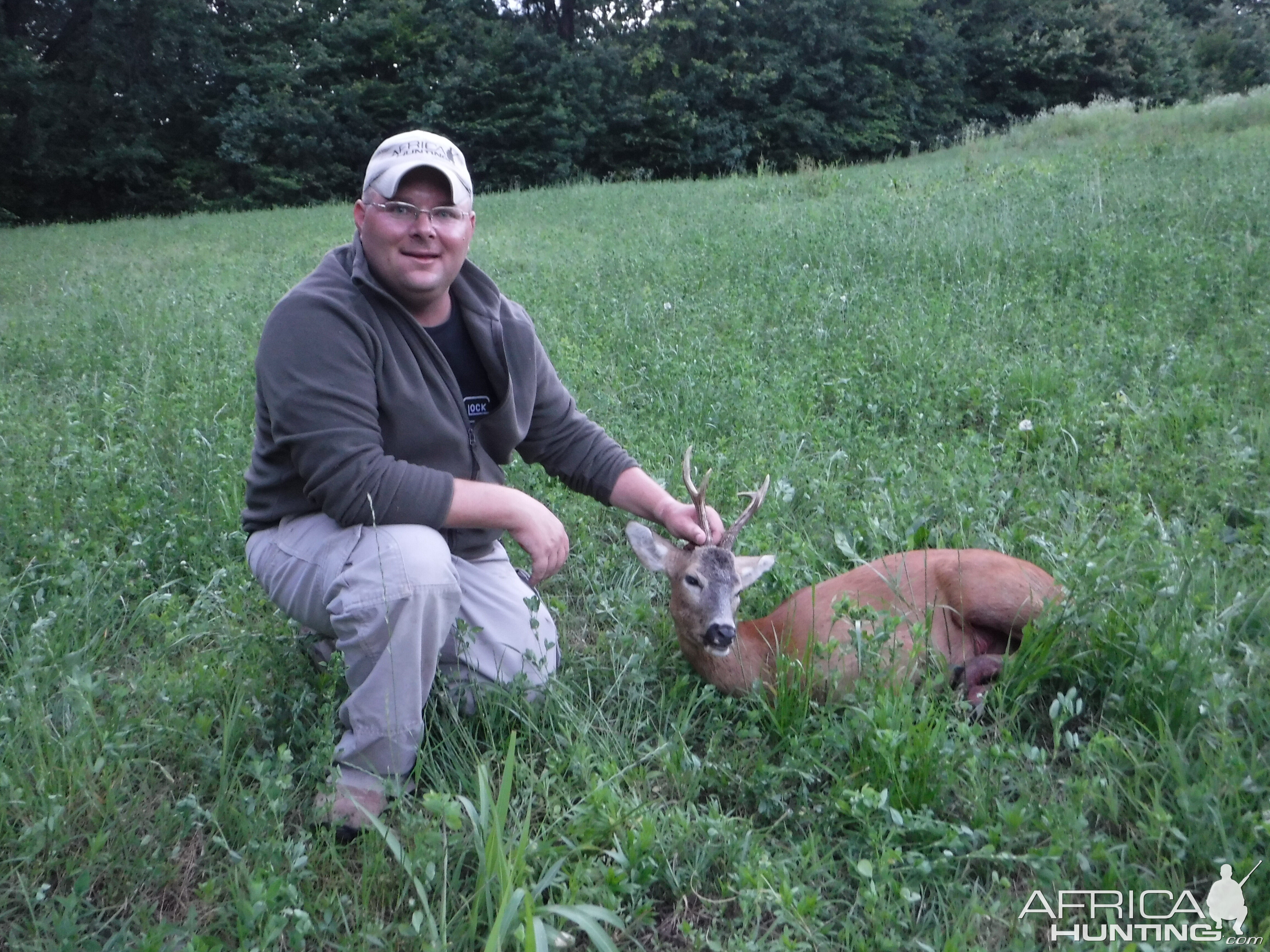 Romanian Roe Buck