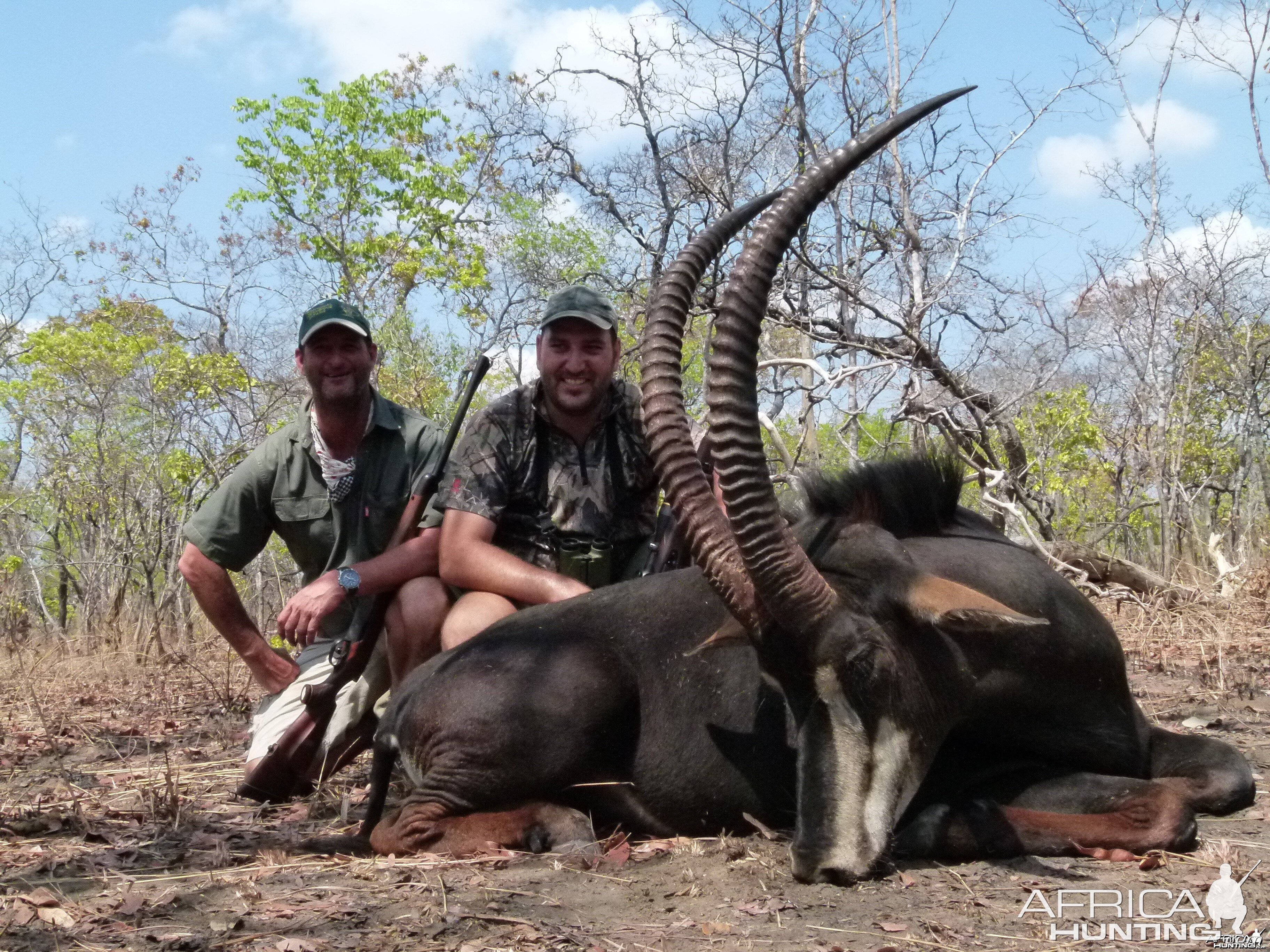 Rooseveldt sable, Mozambique 2012