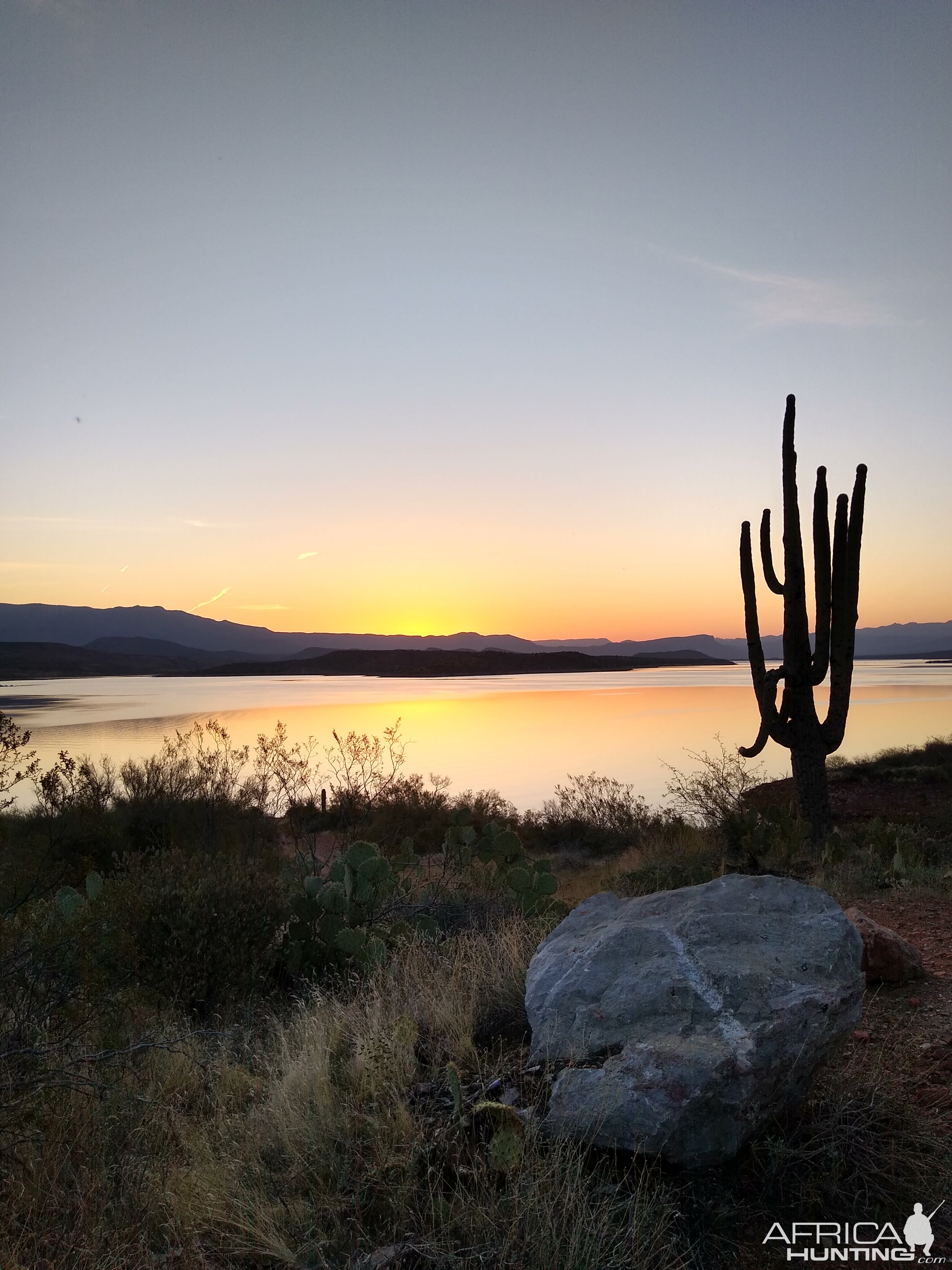 Roosevelt Lake Arizona