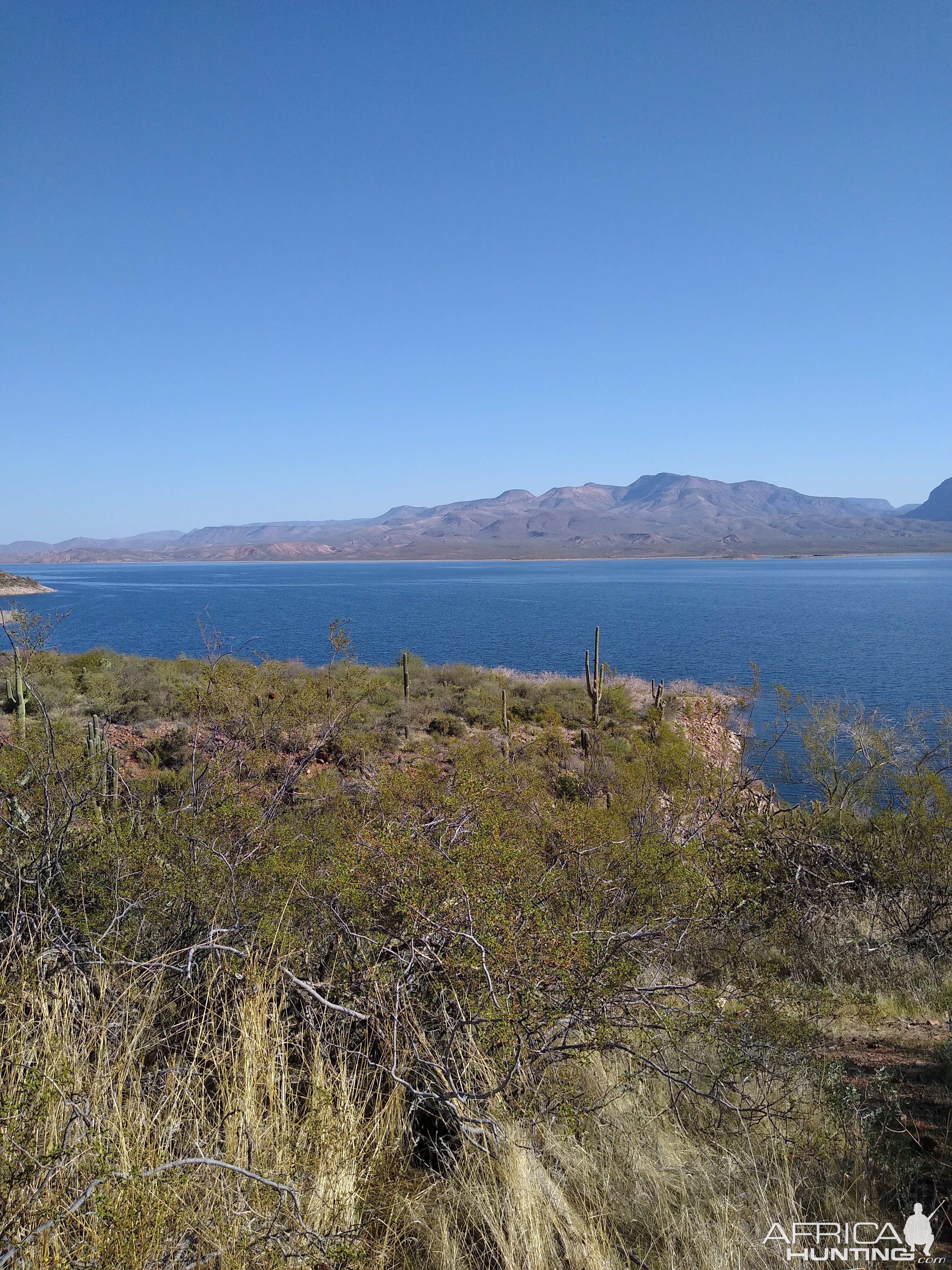 Roosevelt Lake Arizona