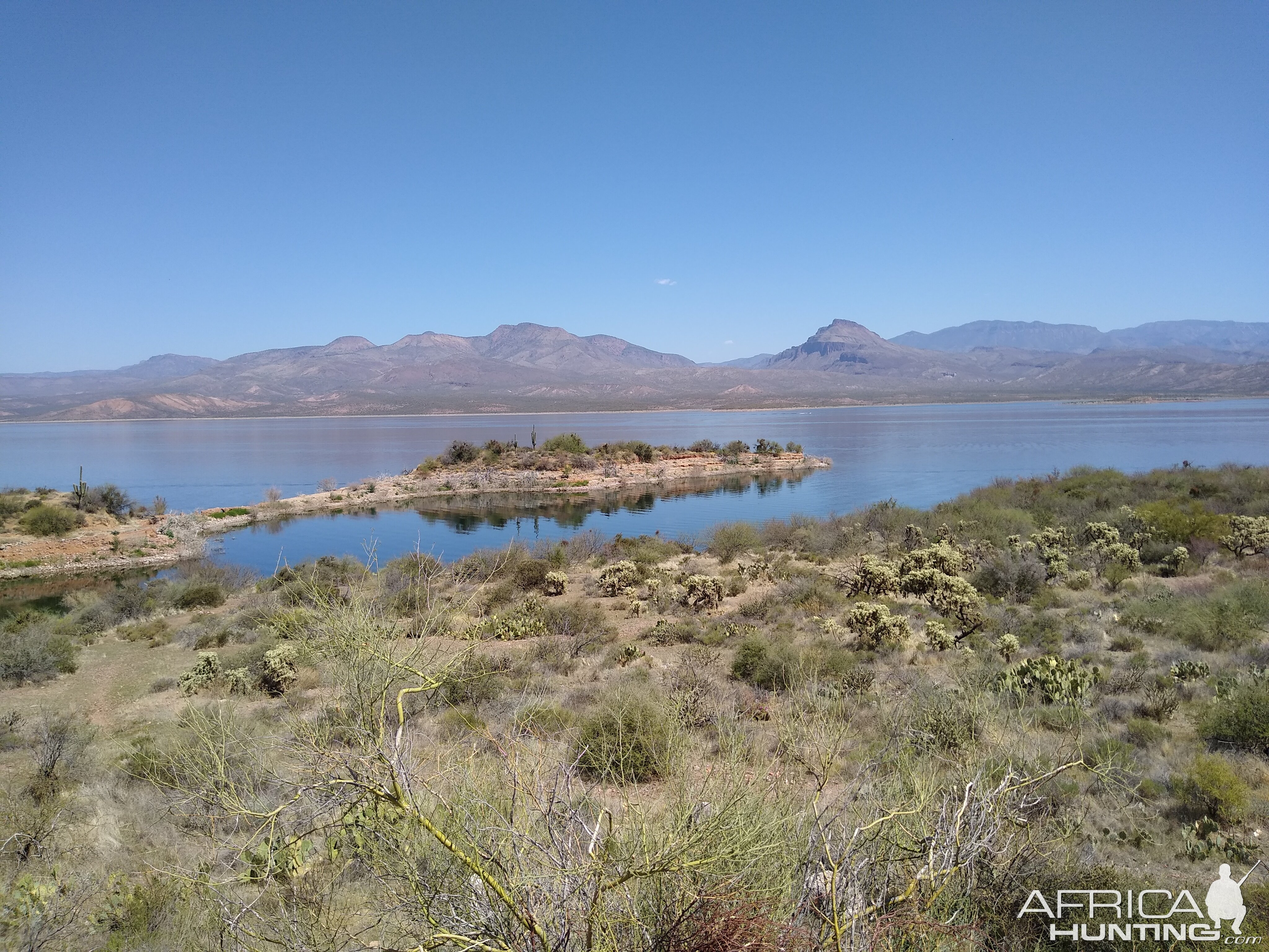 Roosevelt Lake Arizona