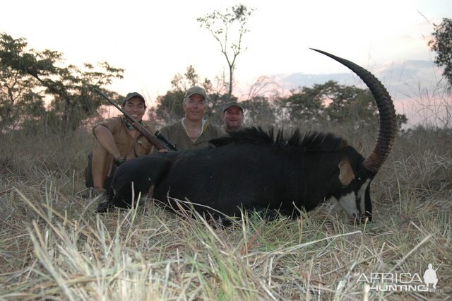 Roosevelt Sable Hunting Mozambique