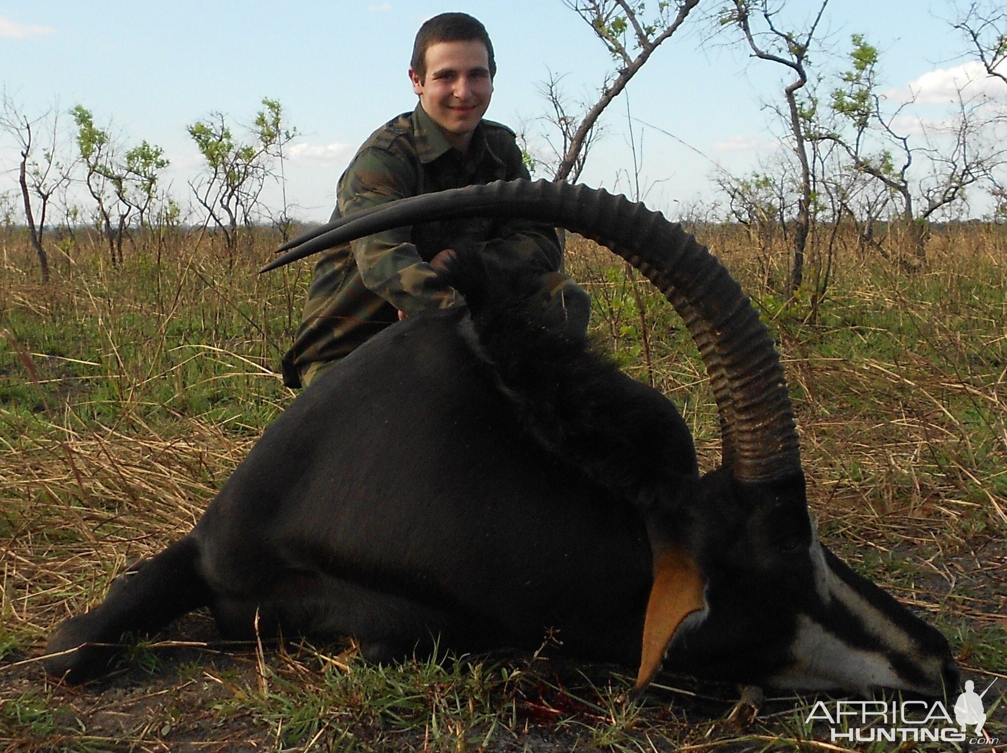 Roosevelt's Sable from Kilwa Tanzania