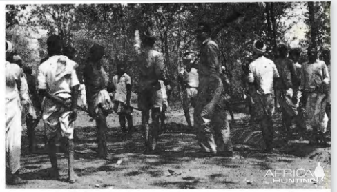 Royal Bengal Tiger Hunt India