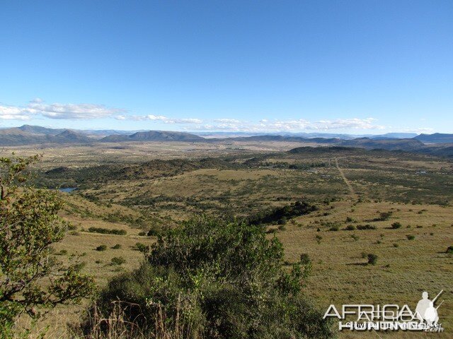 Roydon Private Nature Reserve in Queenstown in the Eastern Cape SA