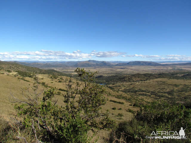 Roydon Private Nature Reserve in Queenstown in the Eastern Cape SA