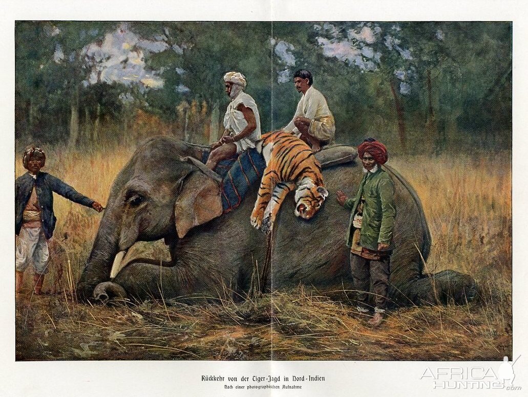 Ruckkehr von der Ciger Tiger hunt North India