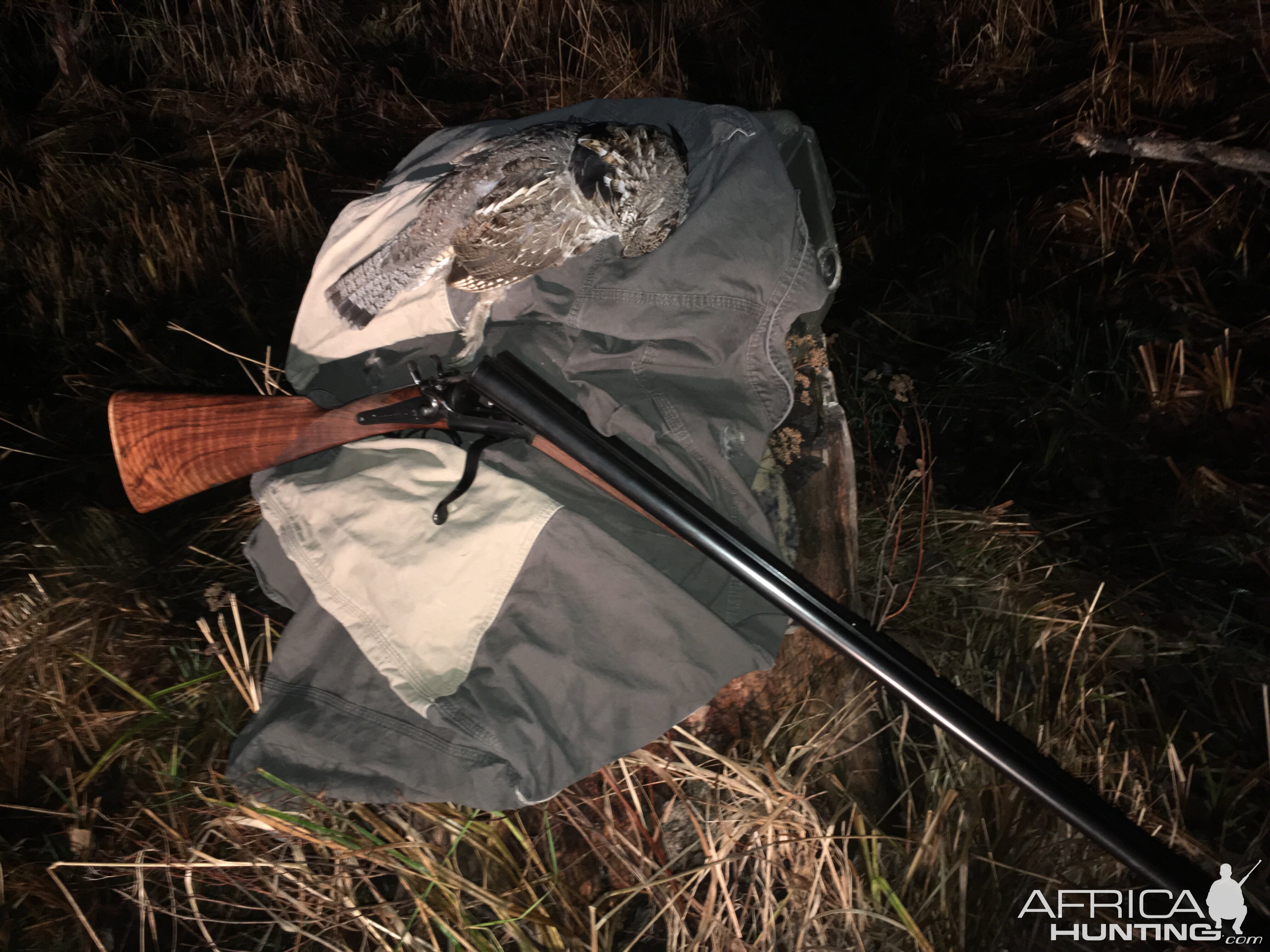 Ruffed Grouse - 1886 Army & Navy Underlever SxS