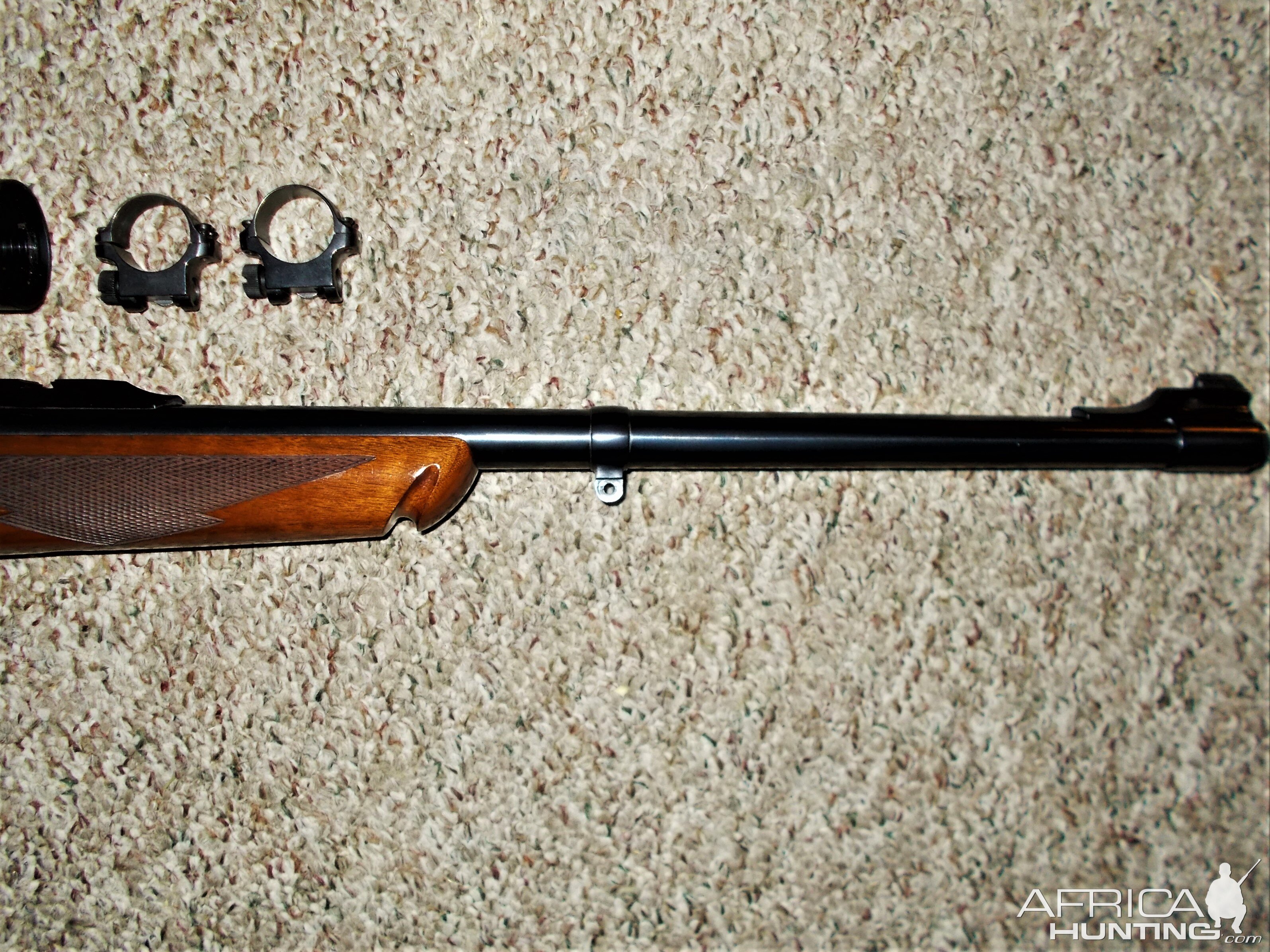 Ruger #1 in 45-70 Rifle