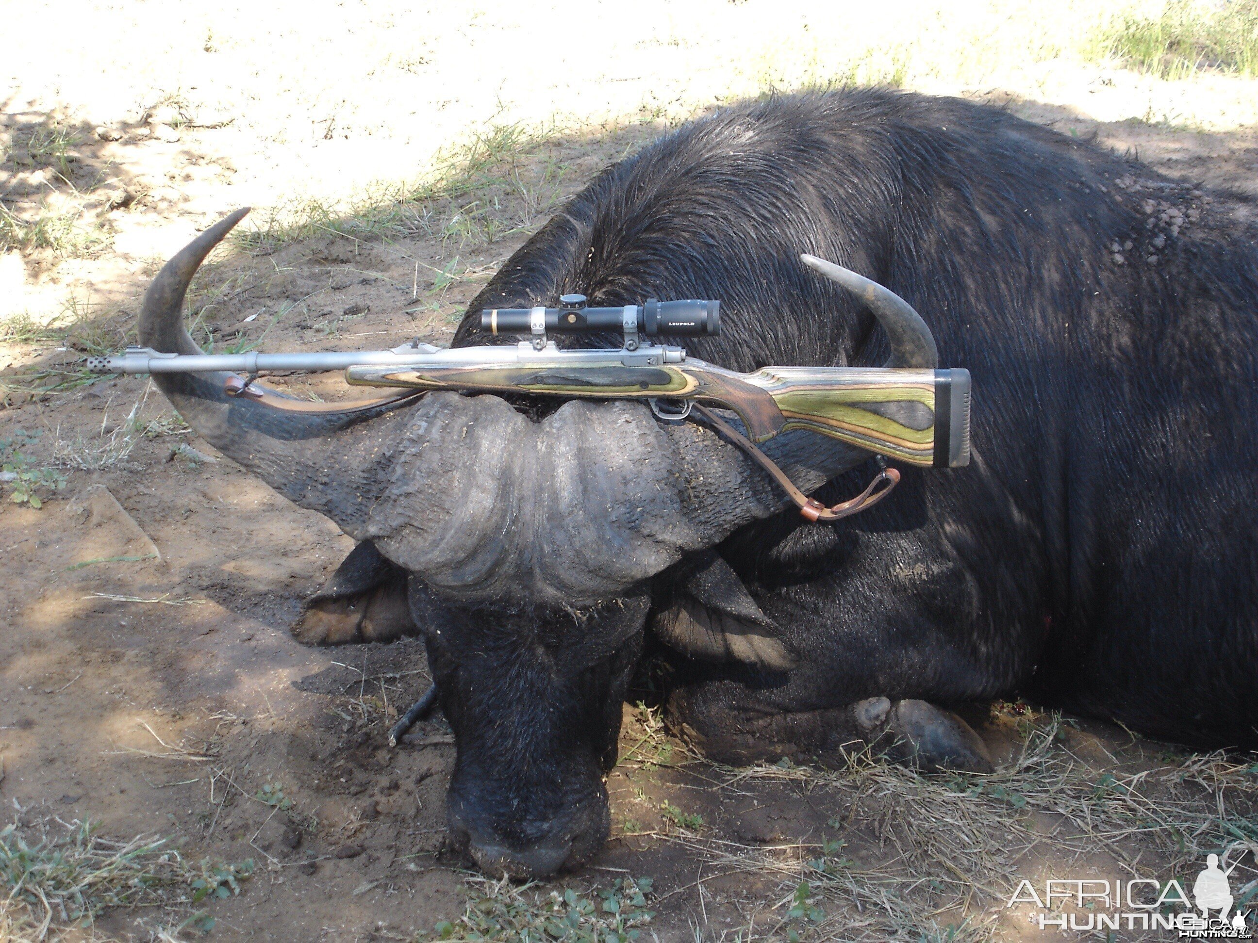 Ruger 416 Guide Gun with Cape Buffalo