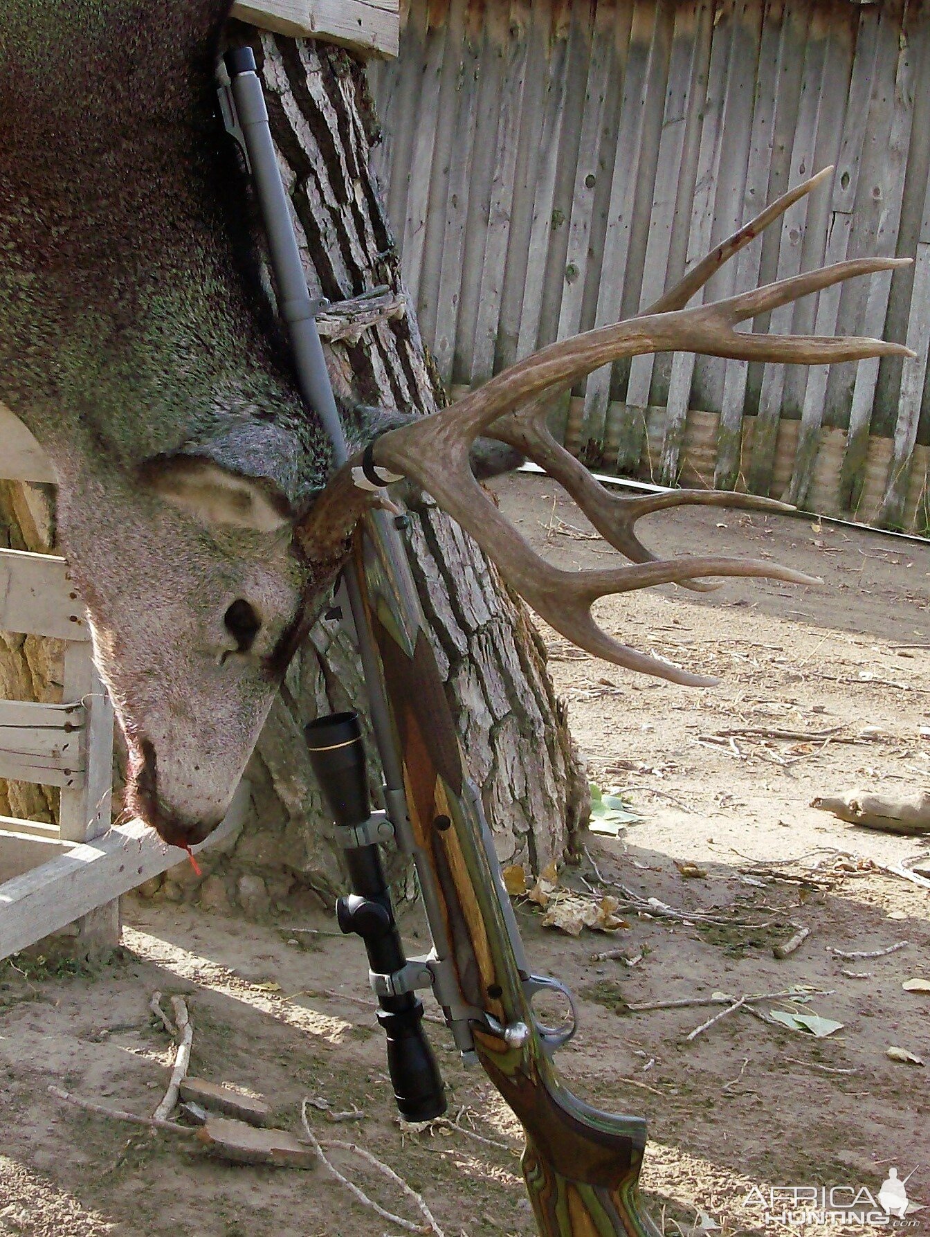 Ruger Alaskan in 375 Ruger rifle with a 23" barrel