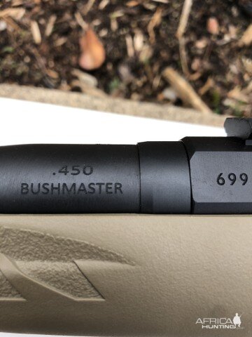 Ruger American Ranch Rifle in 450 Bushmaster