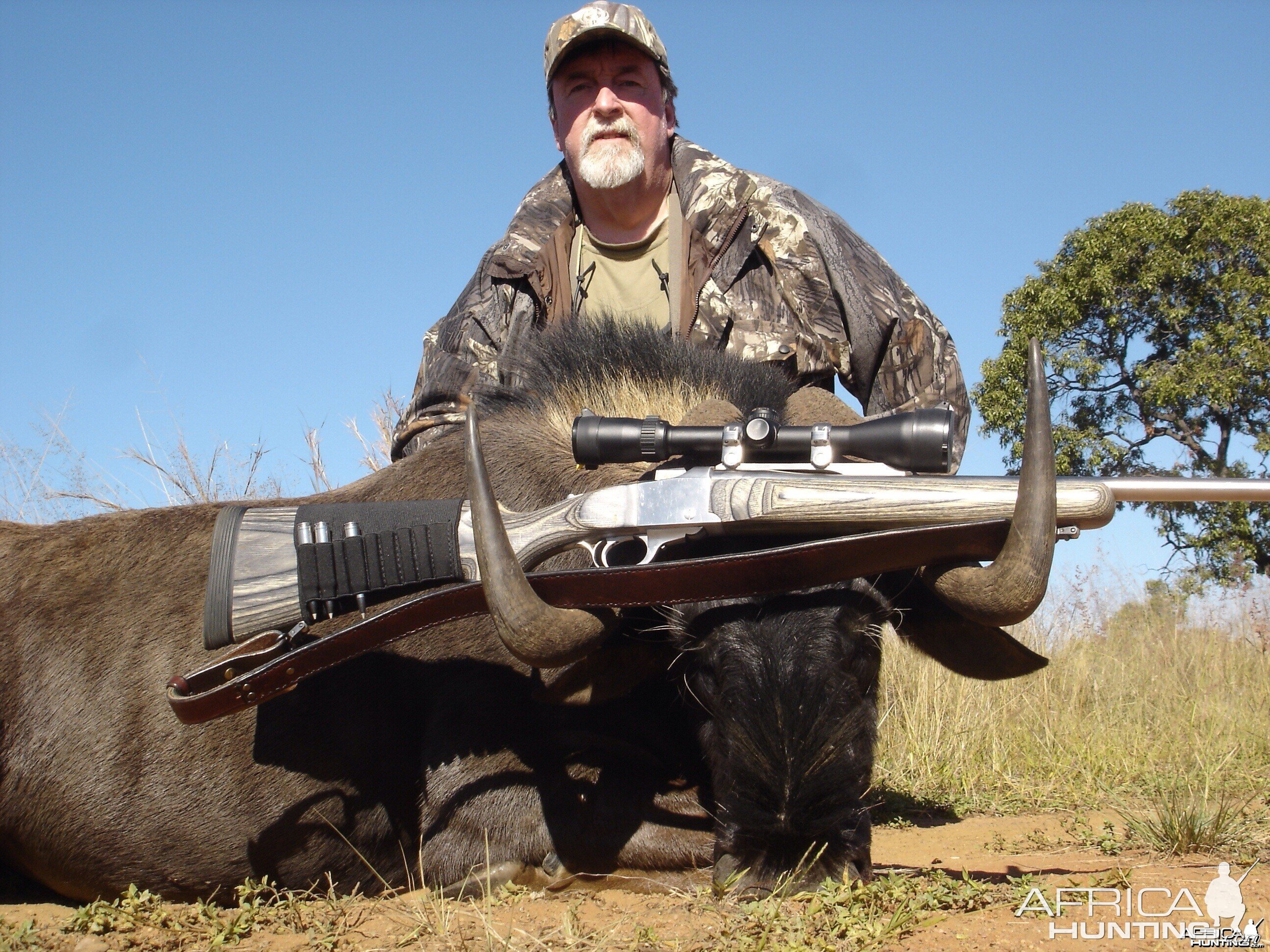 Ruger model #1 in stainless steel and laminated stock