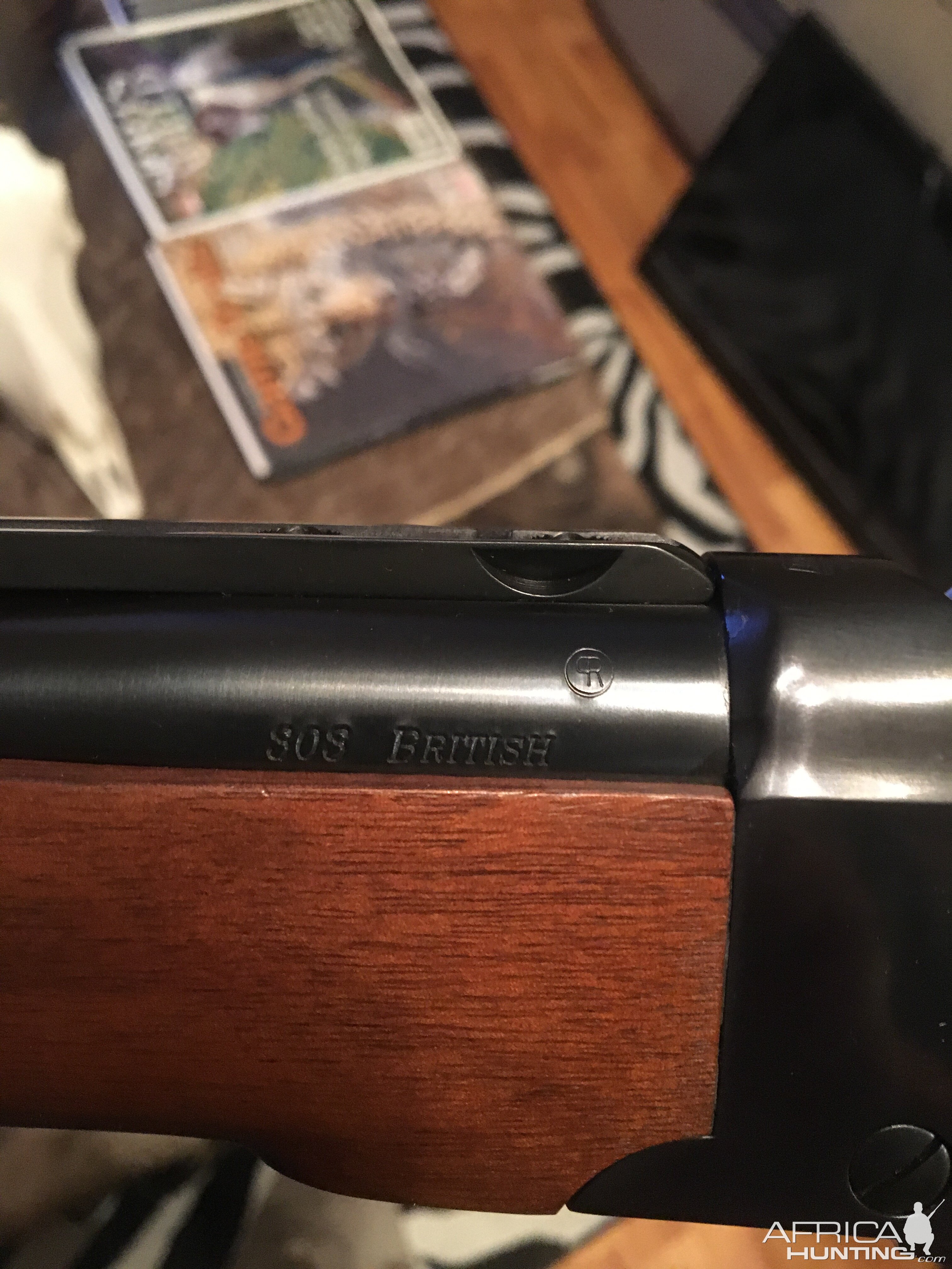 Ruger No.1 Rifle in 303 British