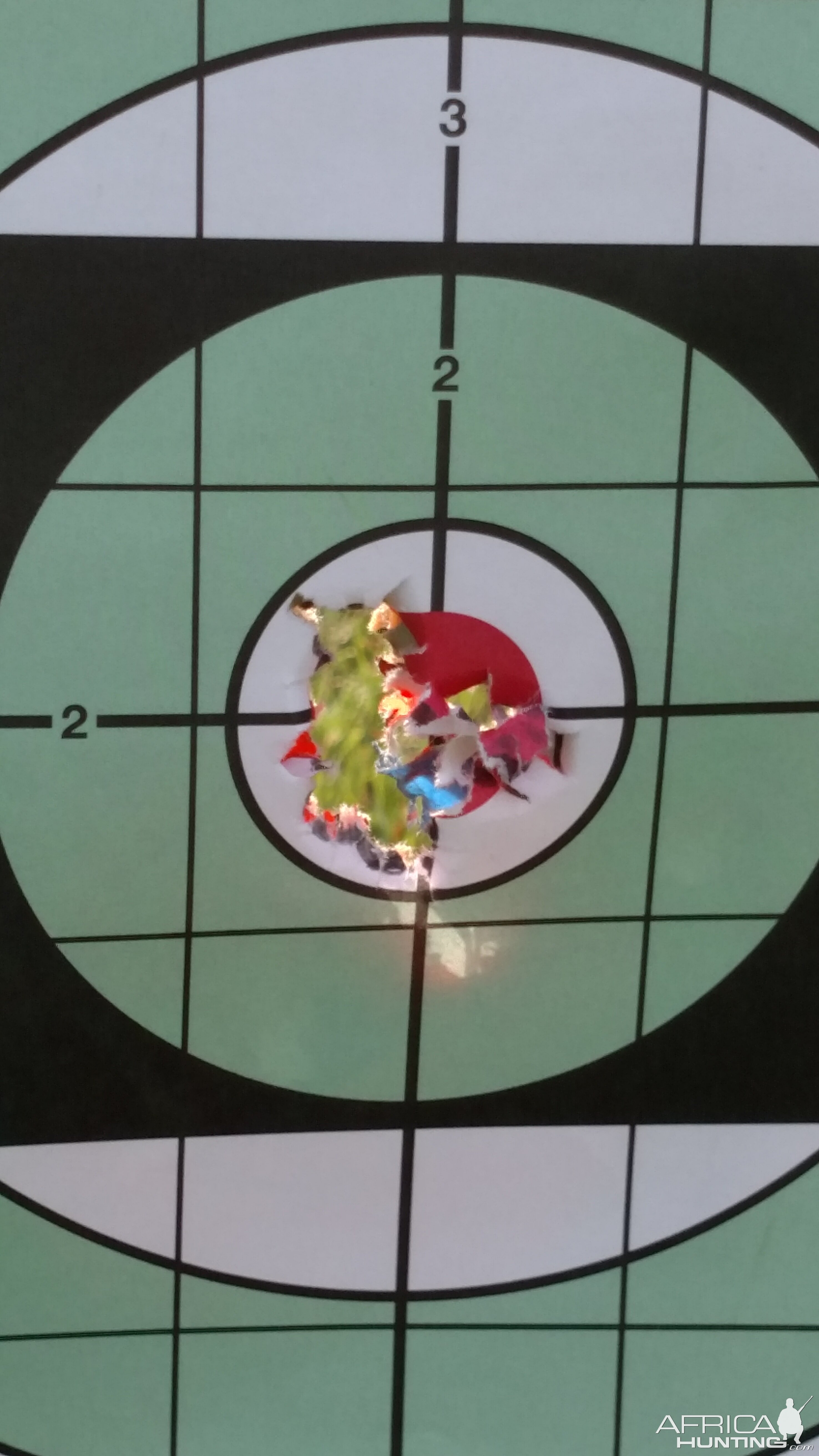 Ruger No.1 Rifle in .375 H&H Range Shots