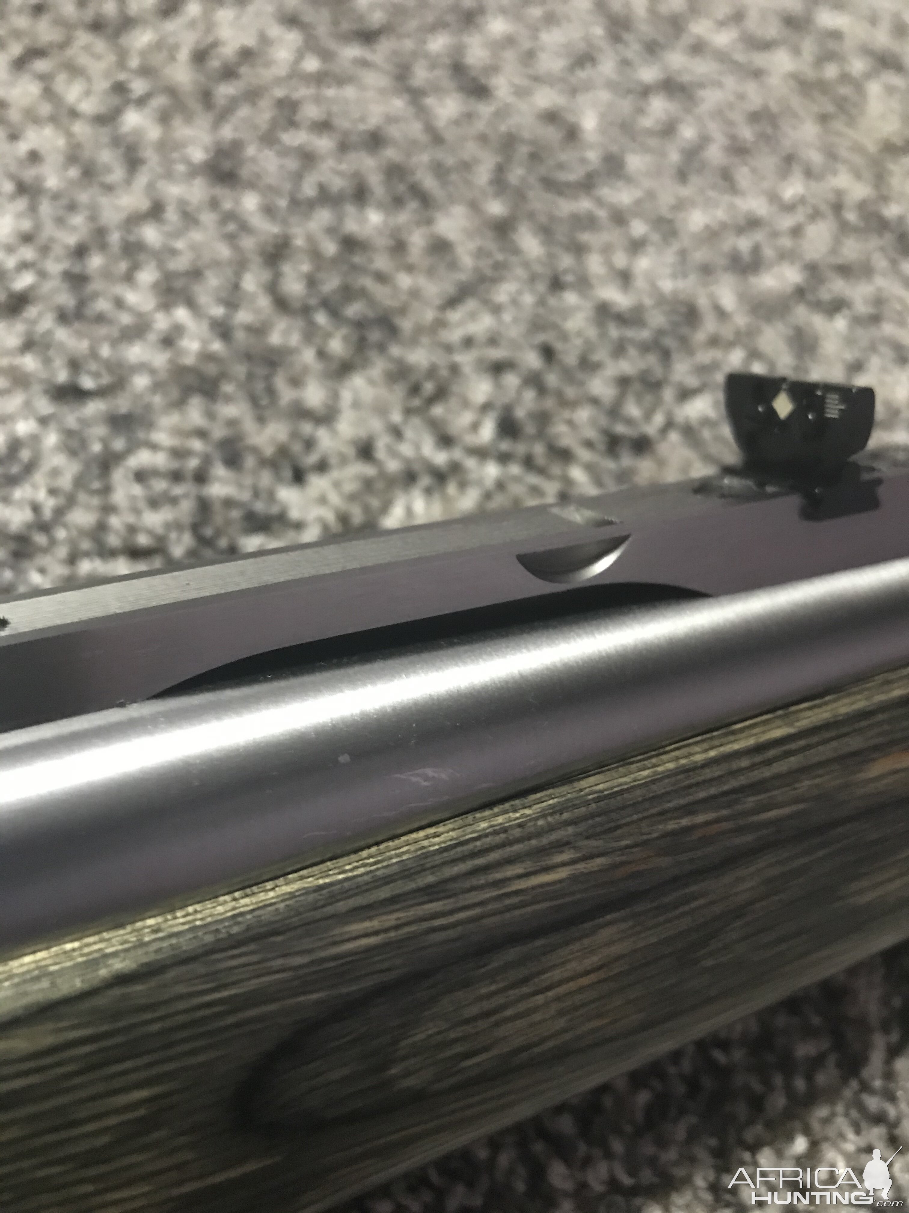 Ruger No 1 Stainless Tropical in 375 H&H Rifle