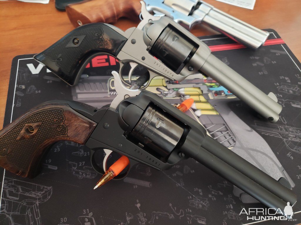 Ruger Wrangler 22LR Revolvers